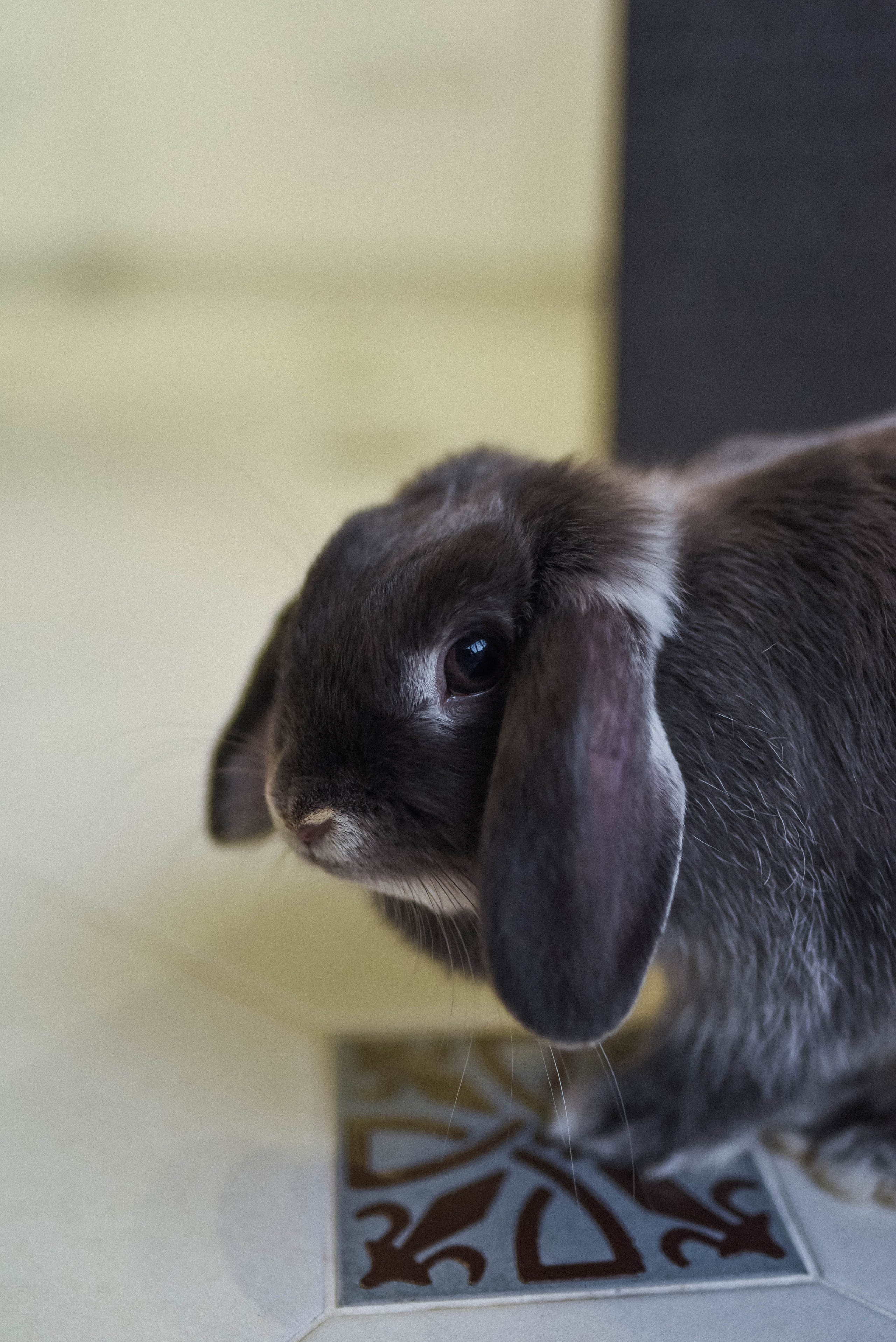 Марина, Андрей и Лиза. Главная