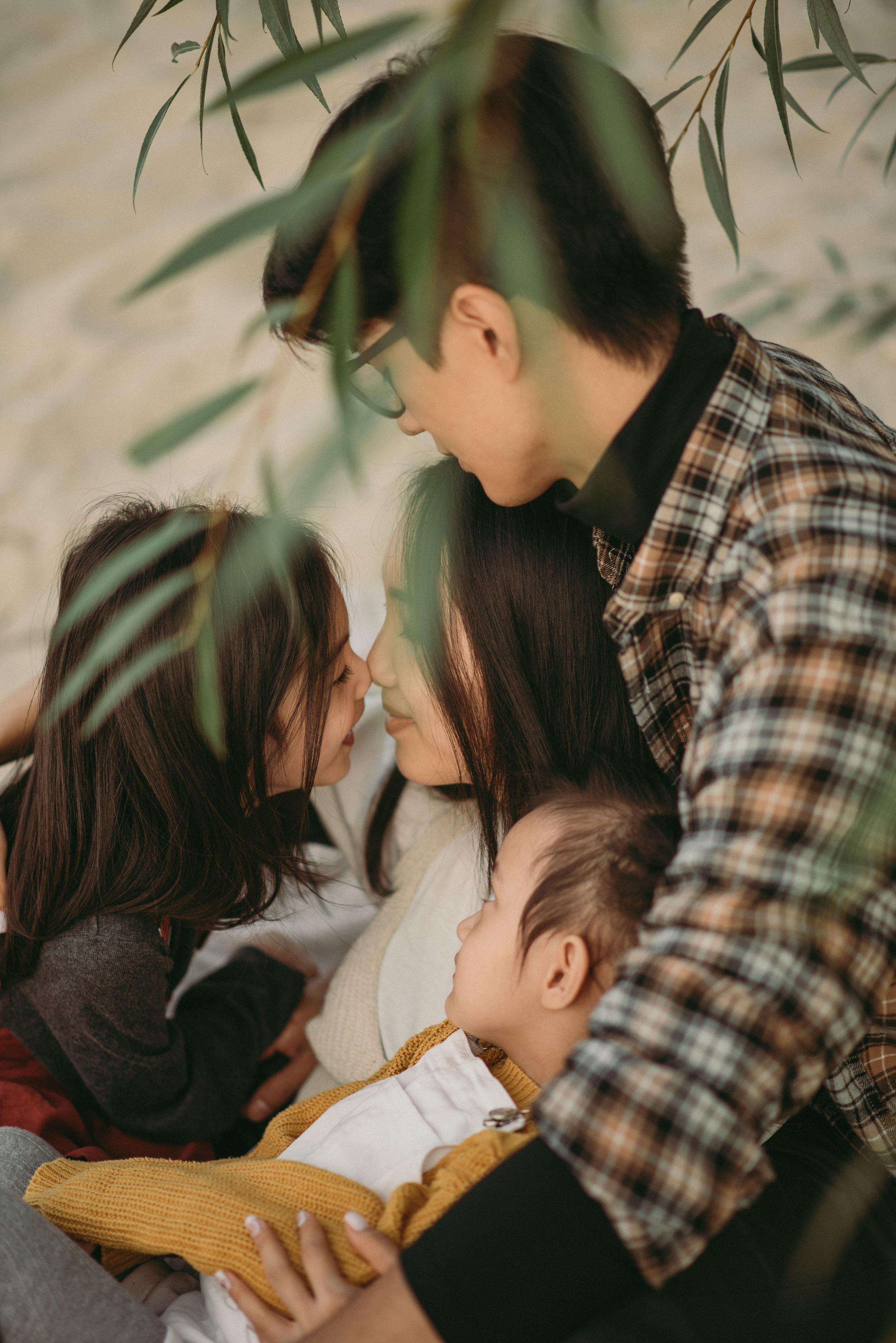 Семья Ли. Главная