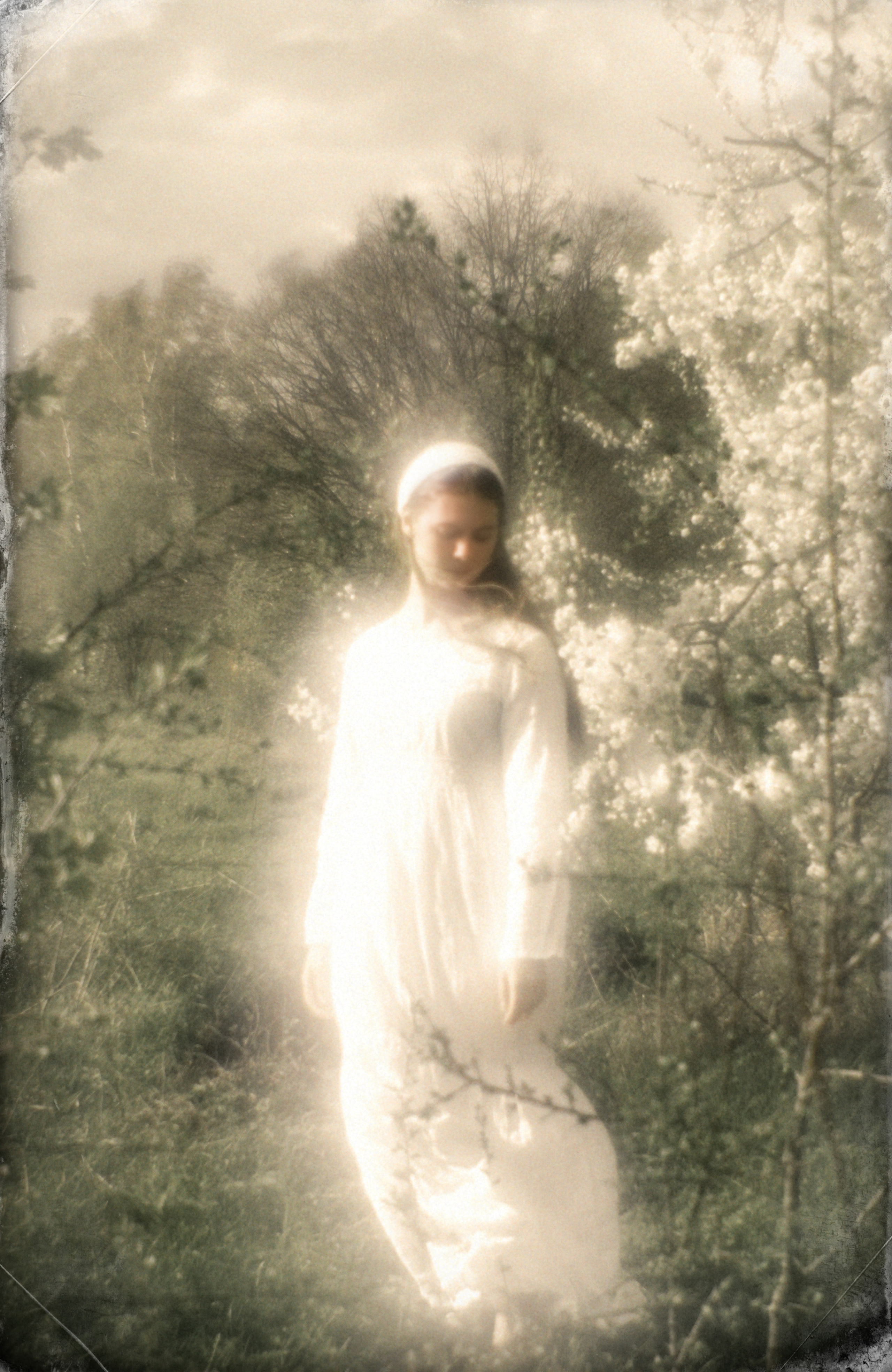 Катя в цветении. Женский семейный фотограф Тула Москва Захарова Анна