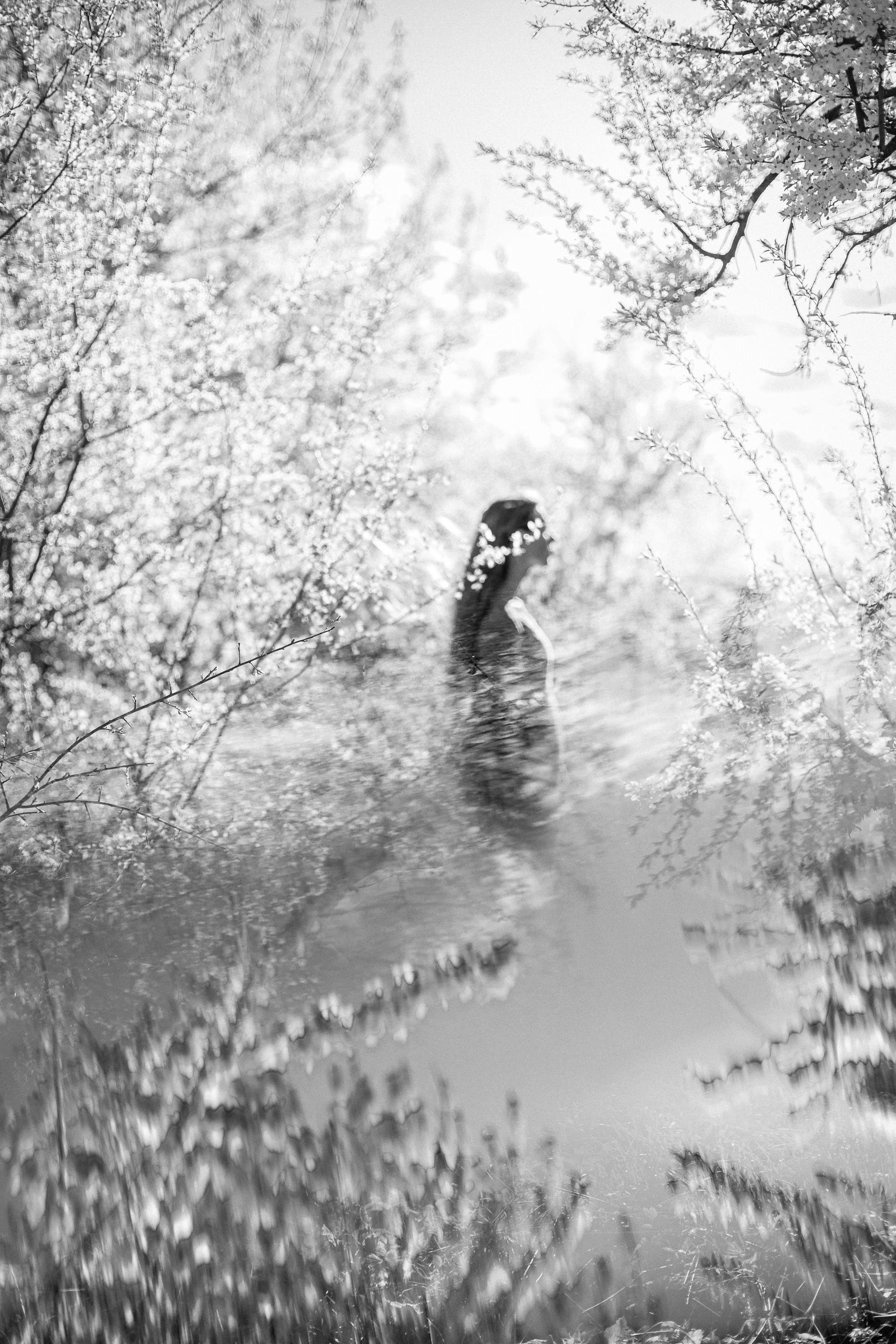 Катя в цветении. Женский семейный фотограф Тула Москва Захарова Анна