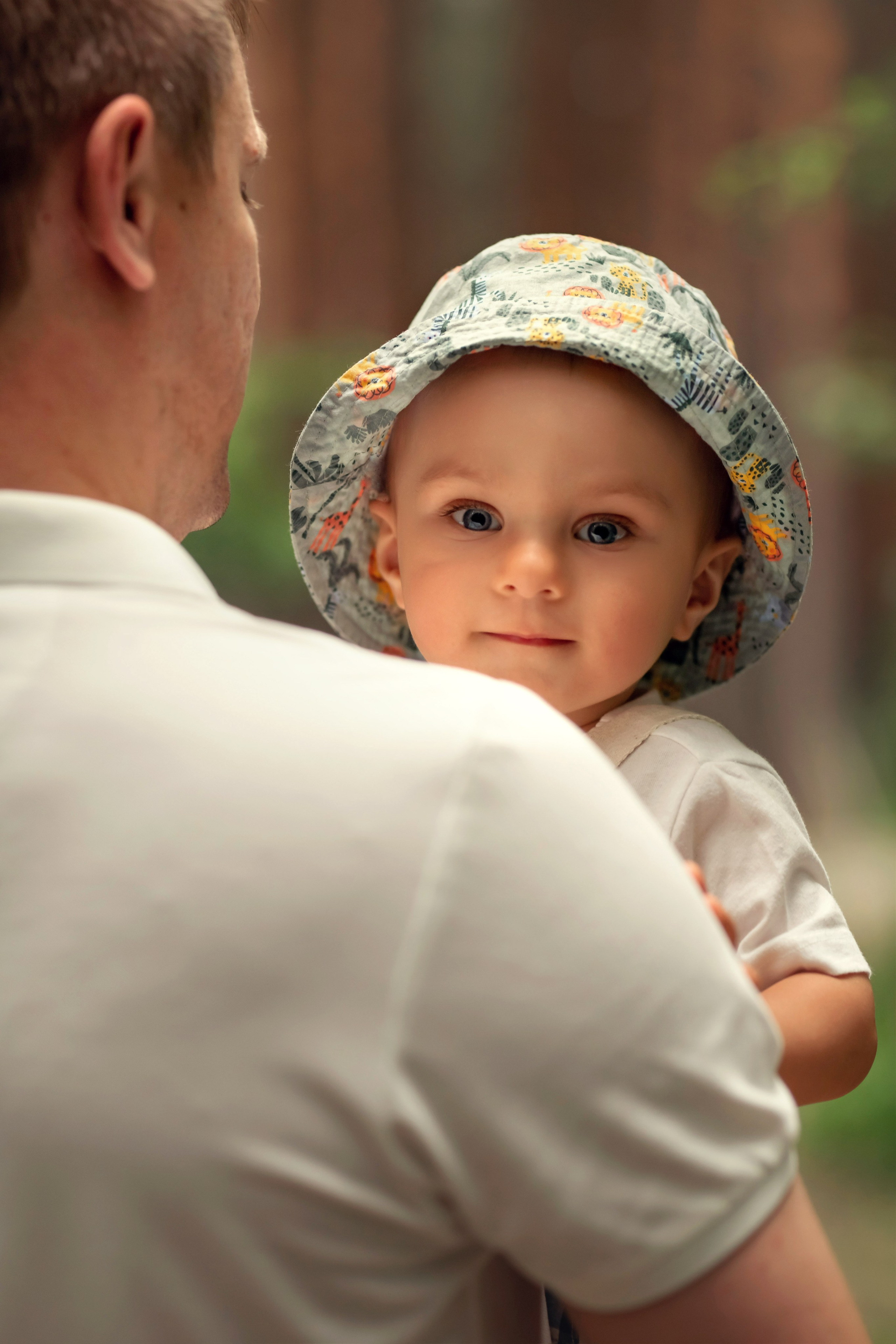 Сосны. Сайт