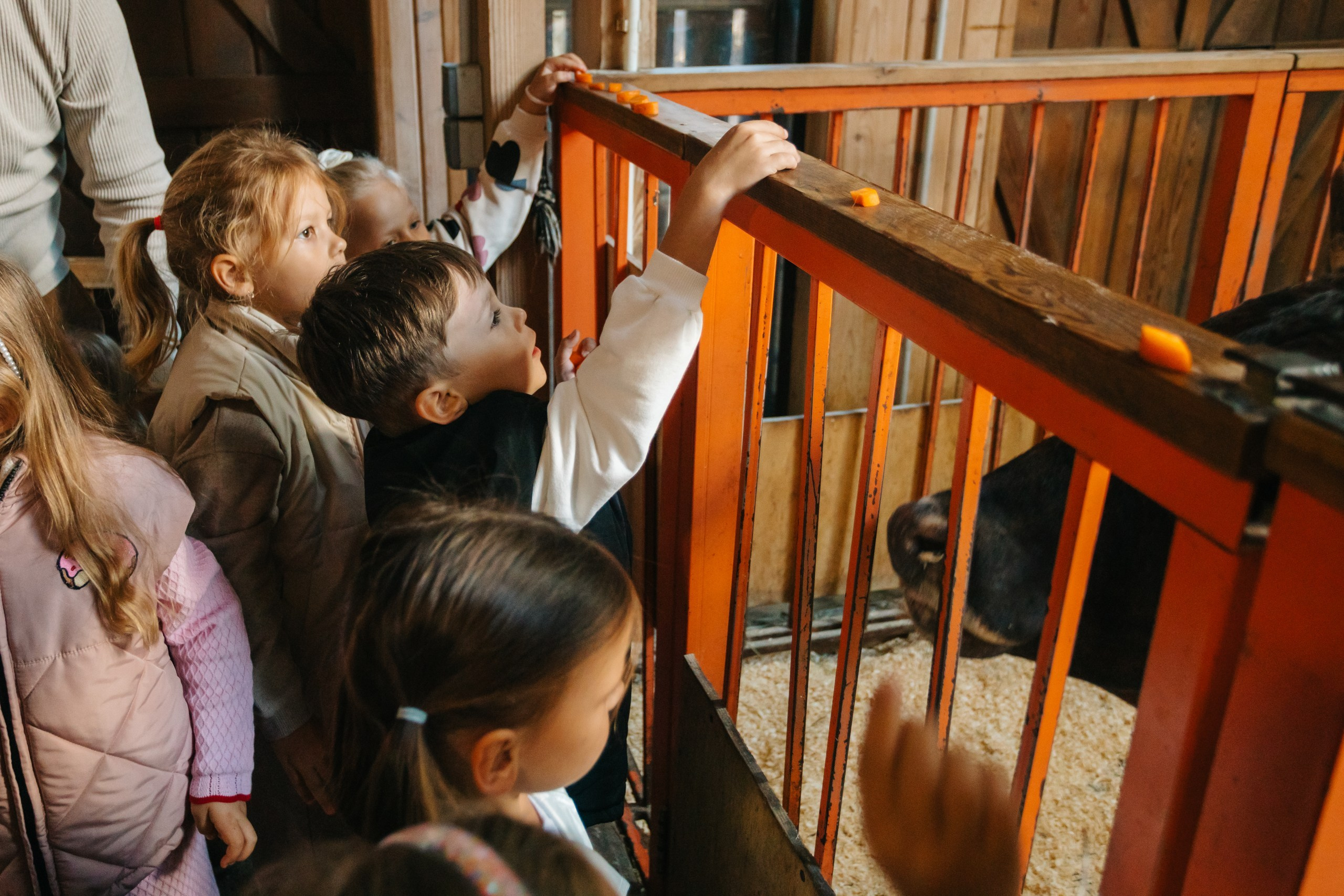 День рождения Марка. Андрей Партнов — фотогрраф, Москва