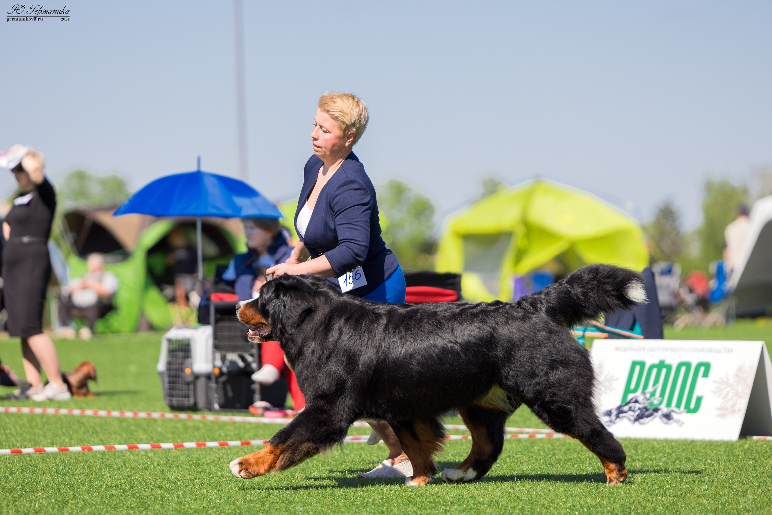 Суздаль 18-19.05.2024. Фотограф-анималист Юлия Германика