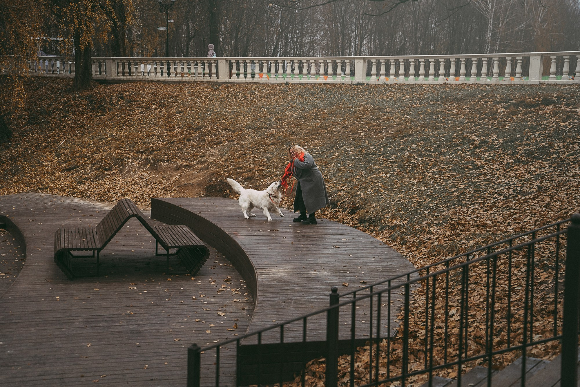 Лена и Мерлин. Фотограф анималист в Москве и Санкт-Петербурге Свиридова Анна