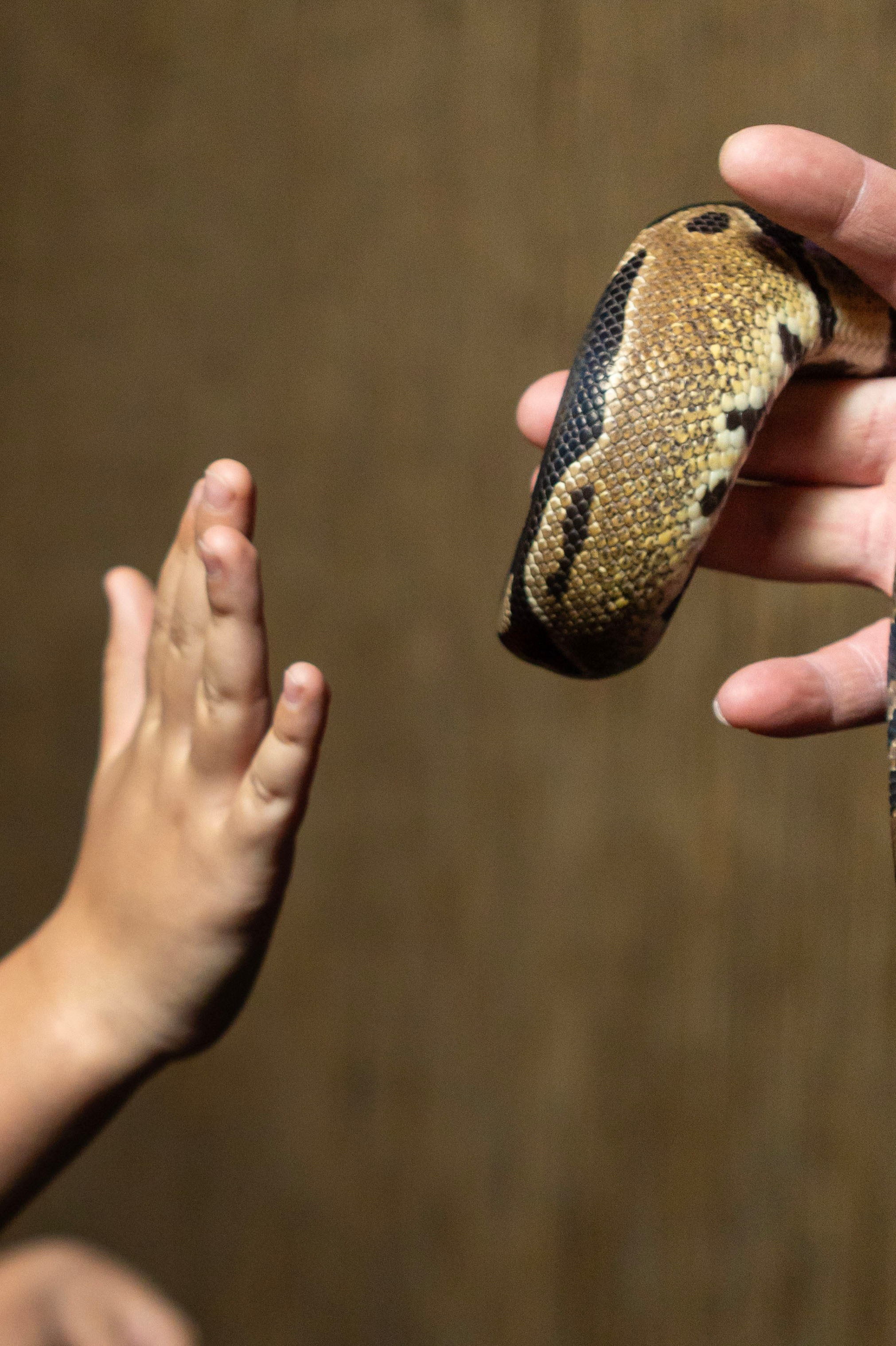 Квесты. Фотограф Юлия Попова