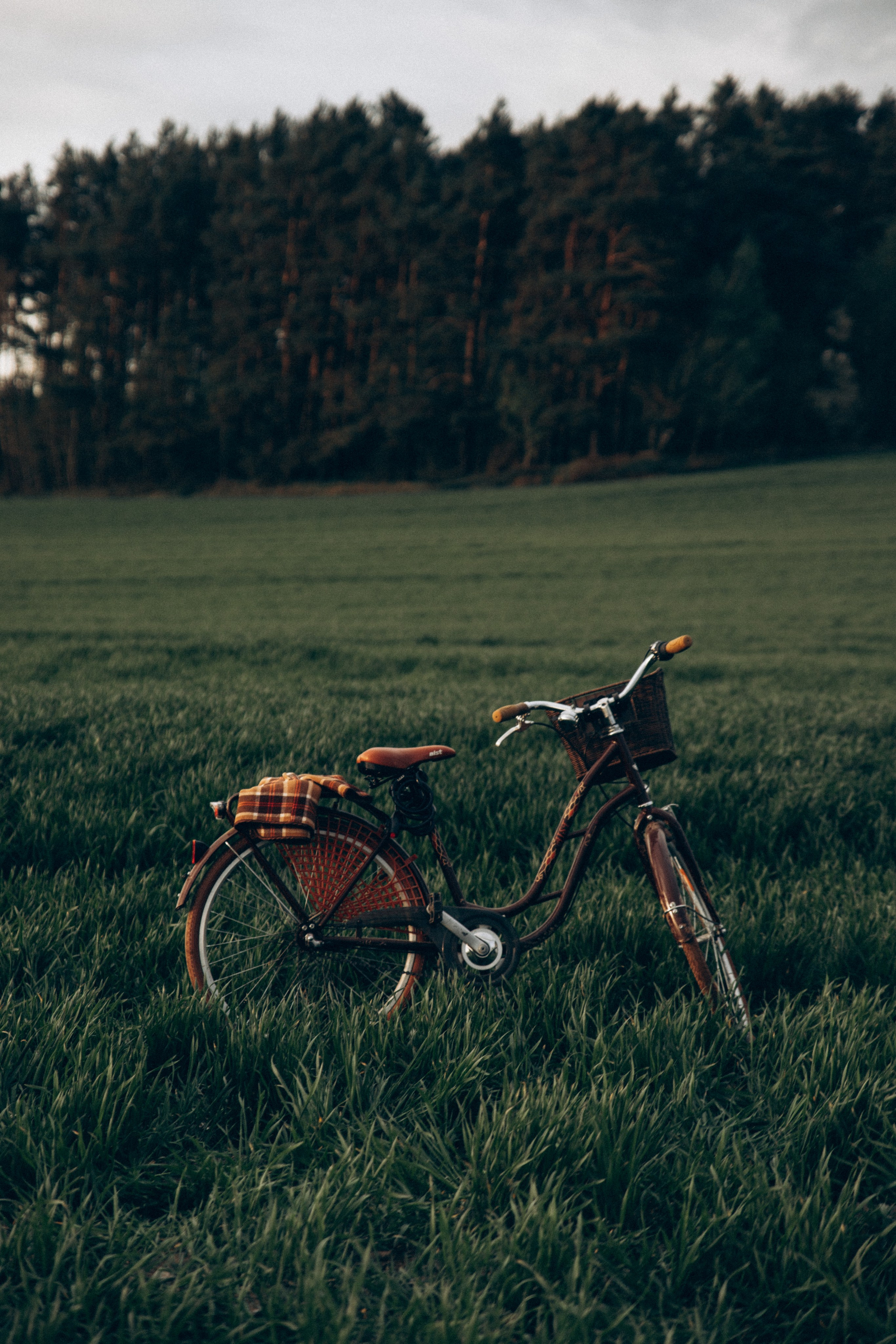 Ветер в наших волосах. Репортажный и детский фотограф в Минске