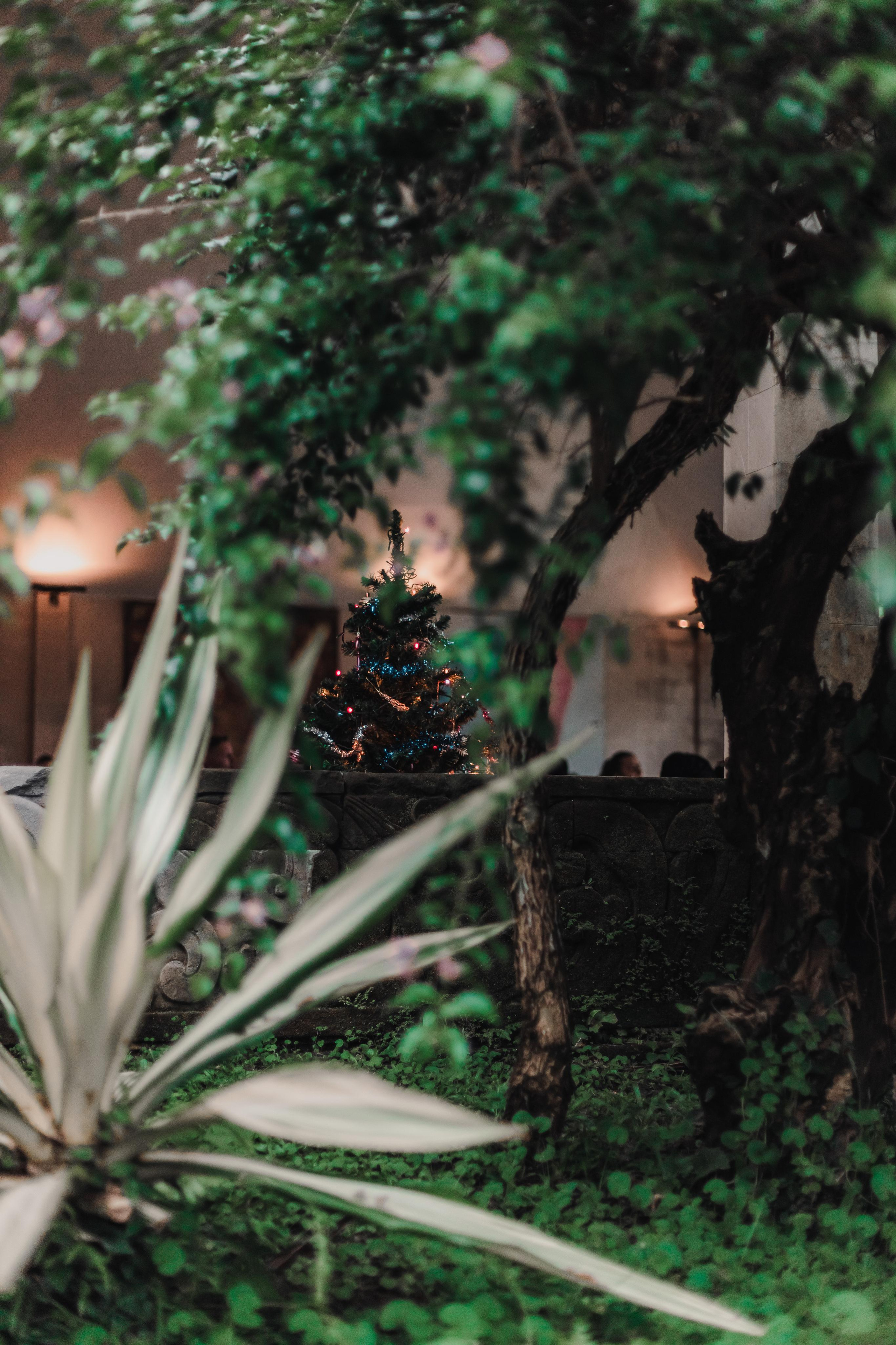 Предновогодний Киртан на Бали. Mariam Bagdasaryan