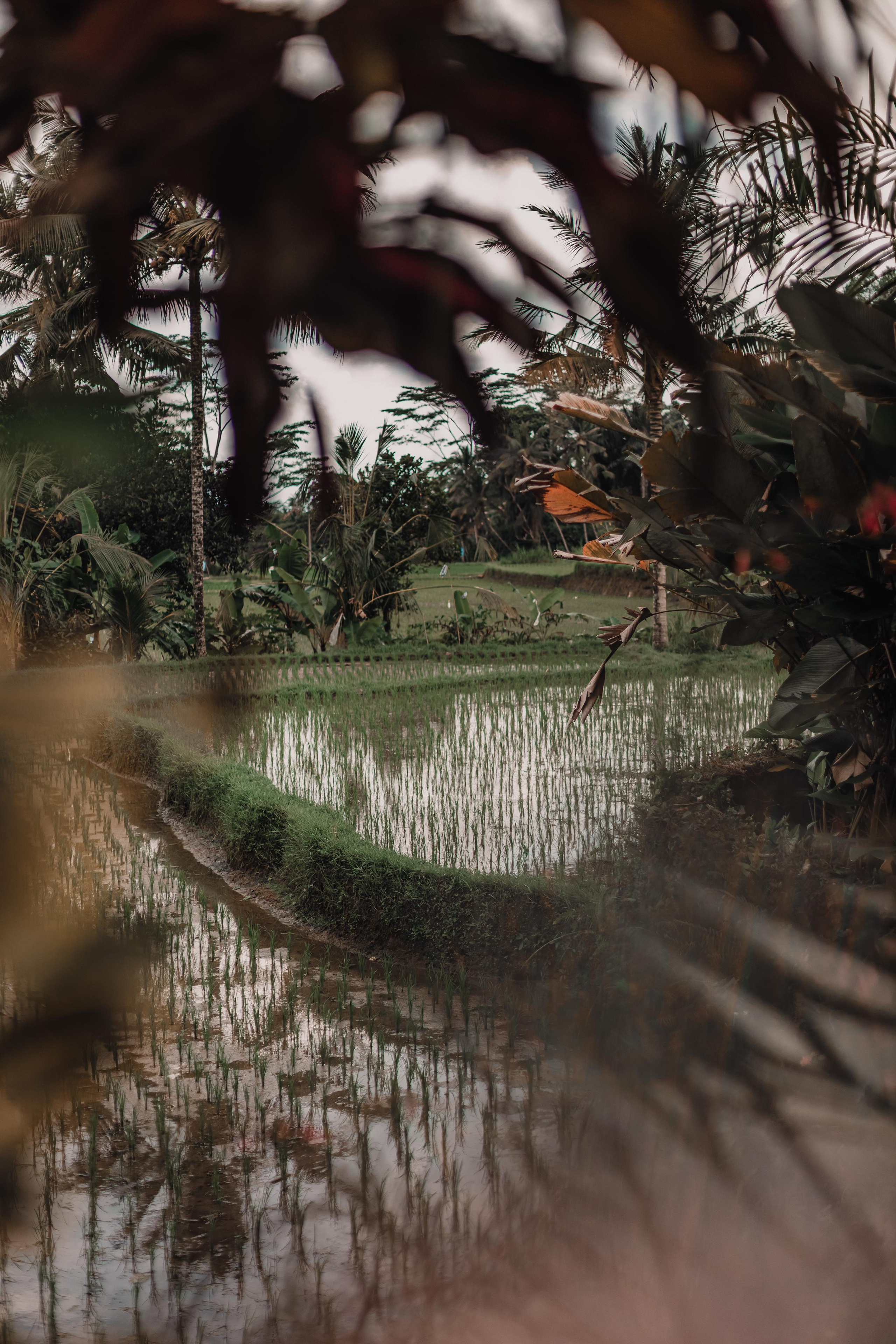 Avatar Tribe Festival ~ Bali ~ Jan 2023. Мариам Багдасарян