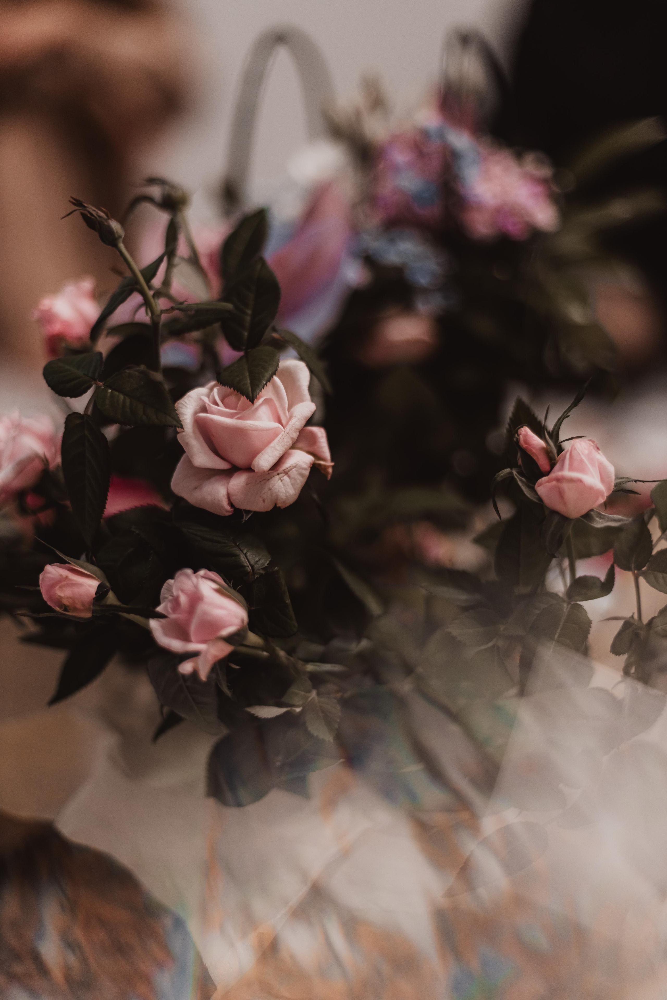 Рождение Королевы. Mariam Bagdasaryan