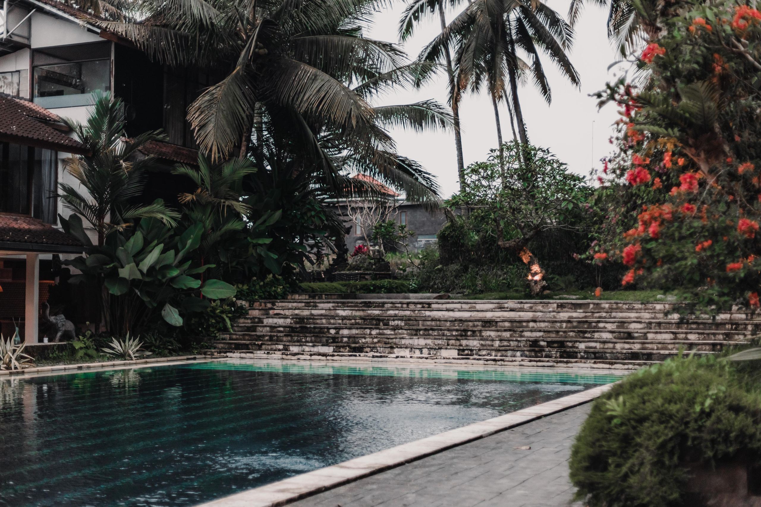 Предновогодний Киртан на Бали. Mariam Bagdasaryan