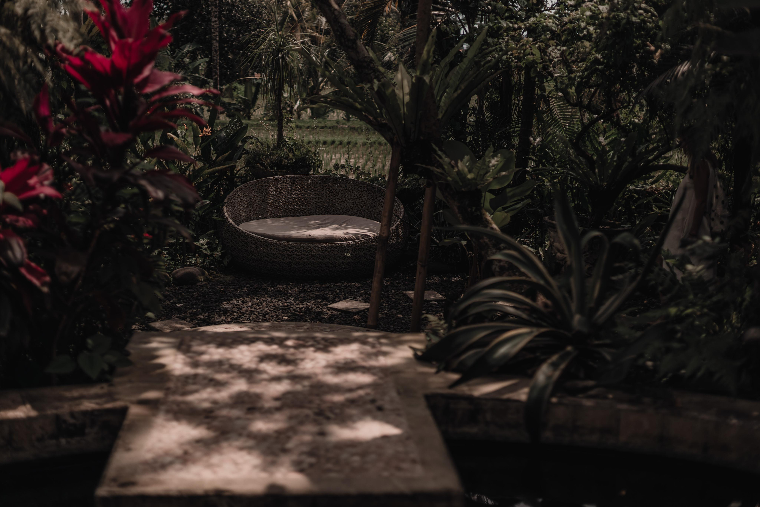 Avatar Tribe Festival ~ Bali ~ Jan 2023. Мариам Багдасарян