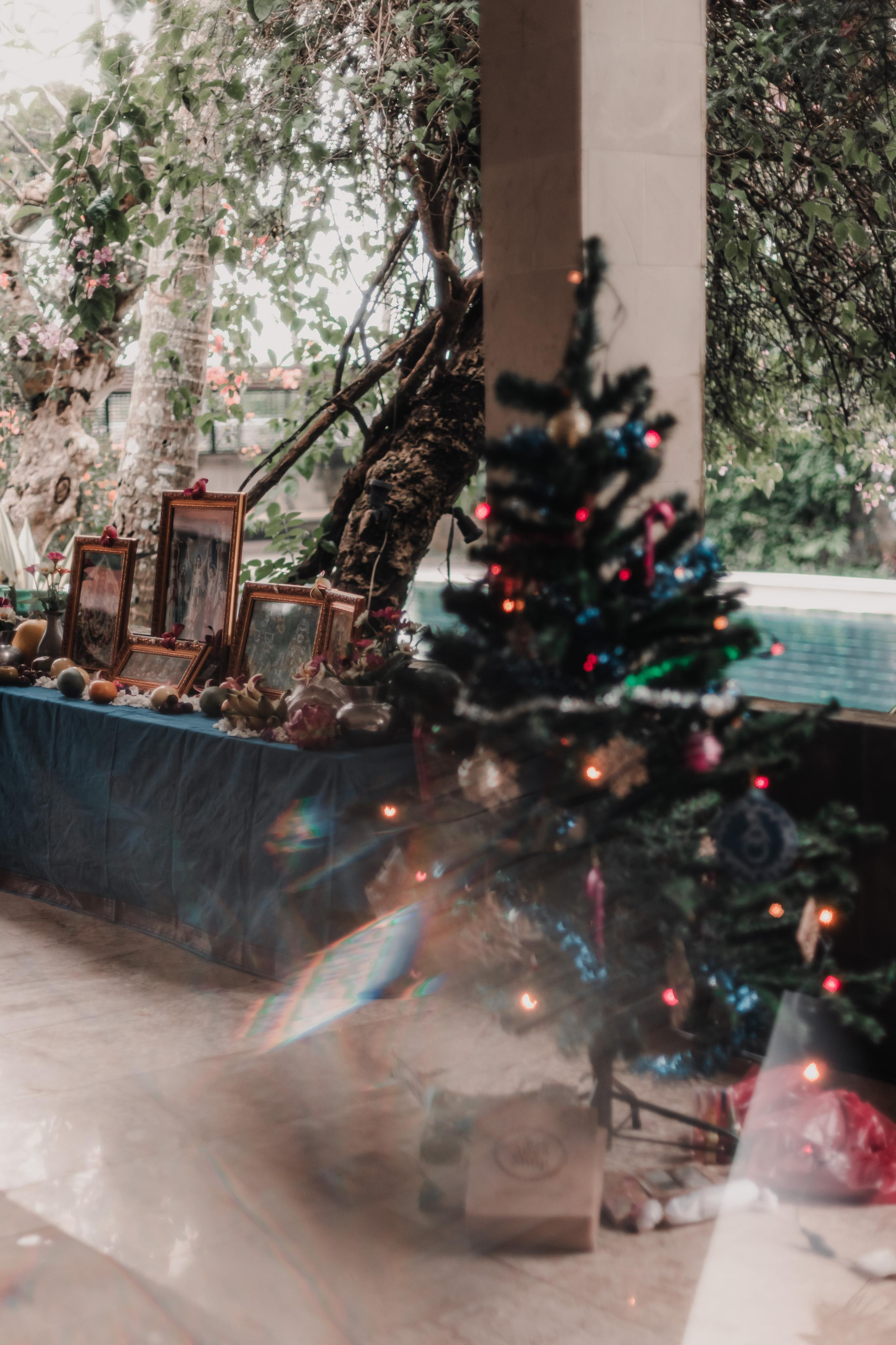 Предновогодний Киртан на Бали. Mariam Bagdasaryan