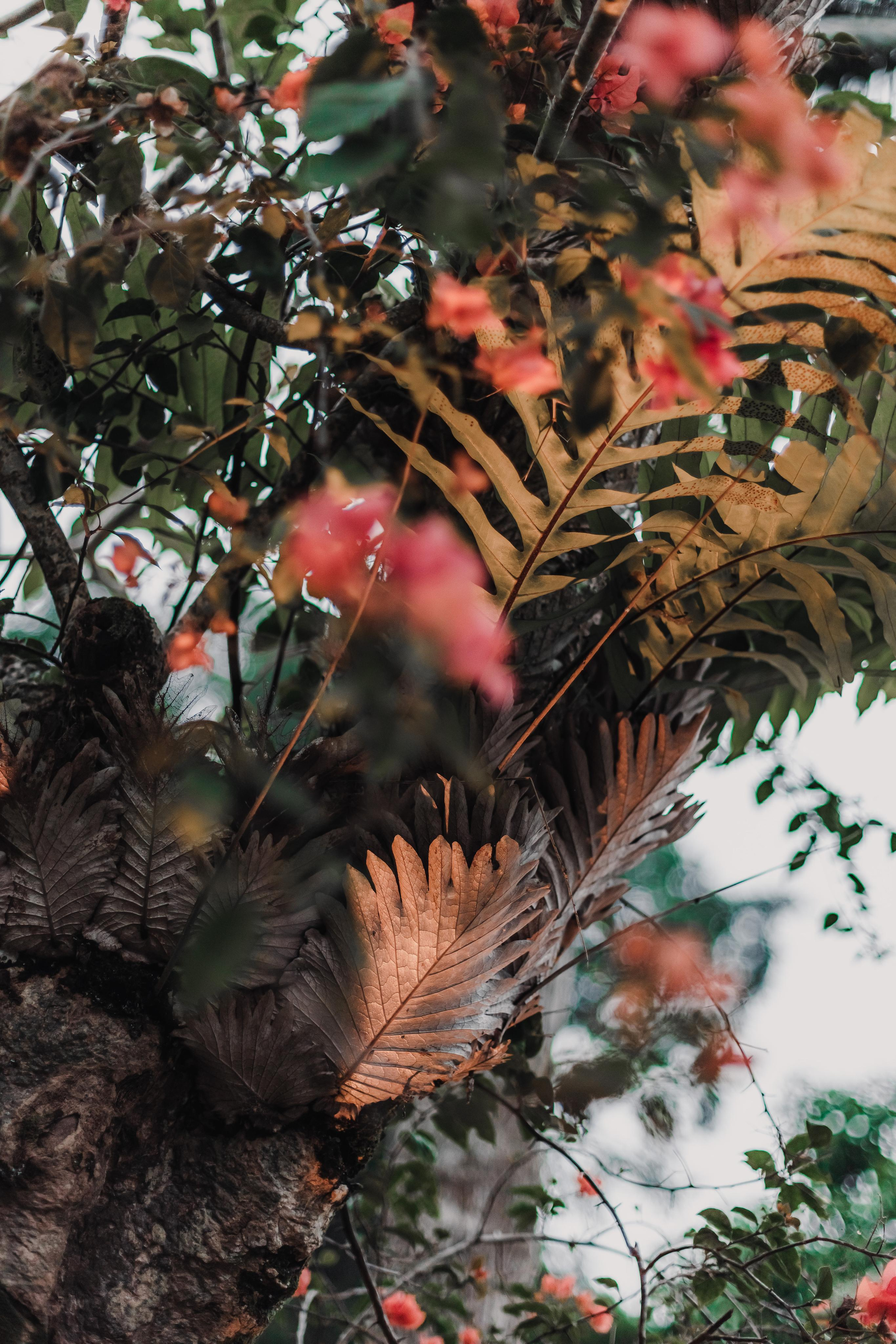 Предновогодний Киртан на Бали. Mariam Bagdasaryan