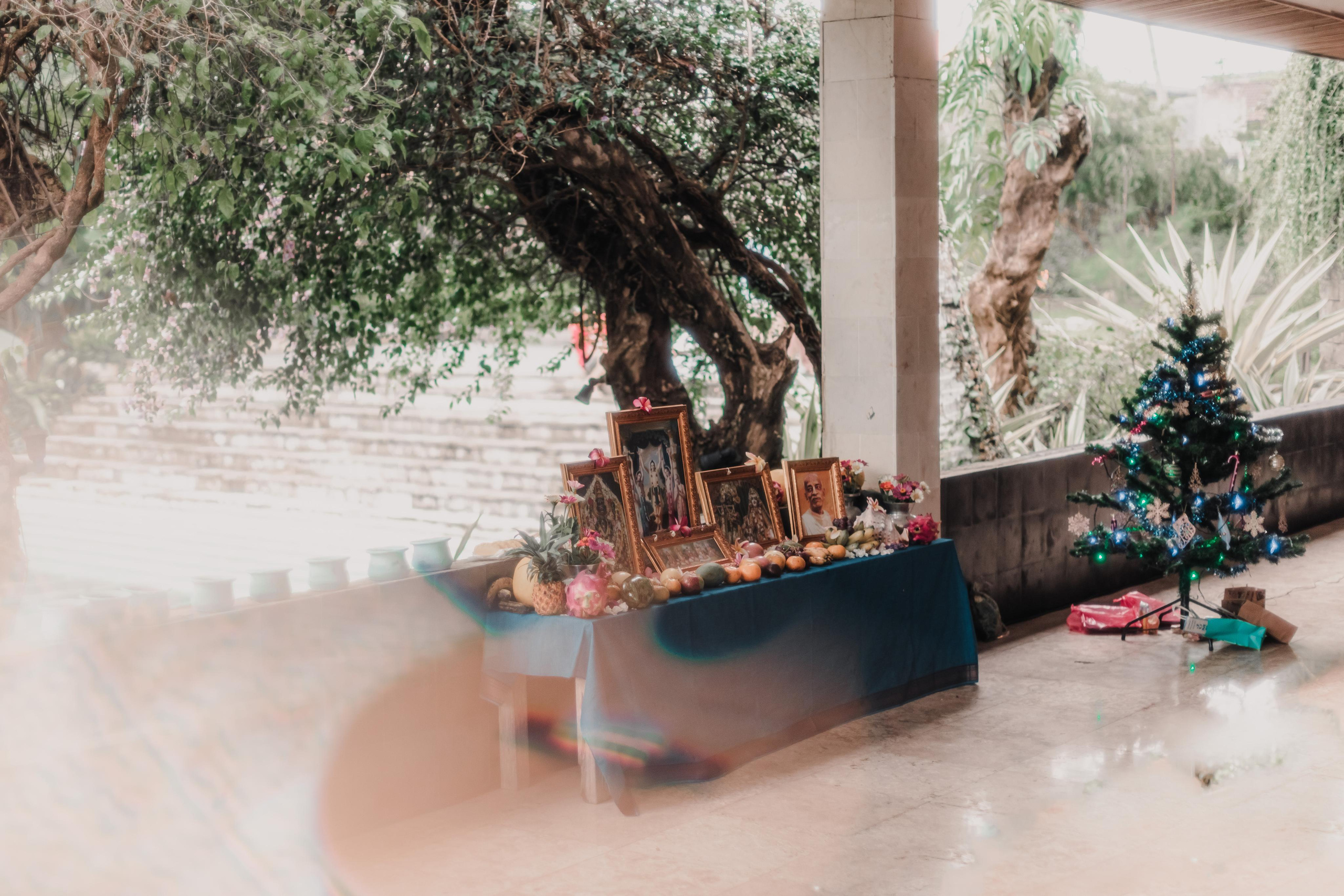 Предновогодний Киртан на Бали. Mariam Bagdasaryan