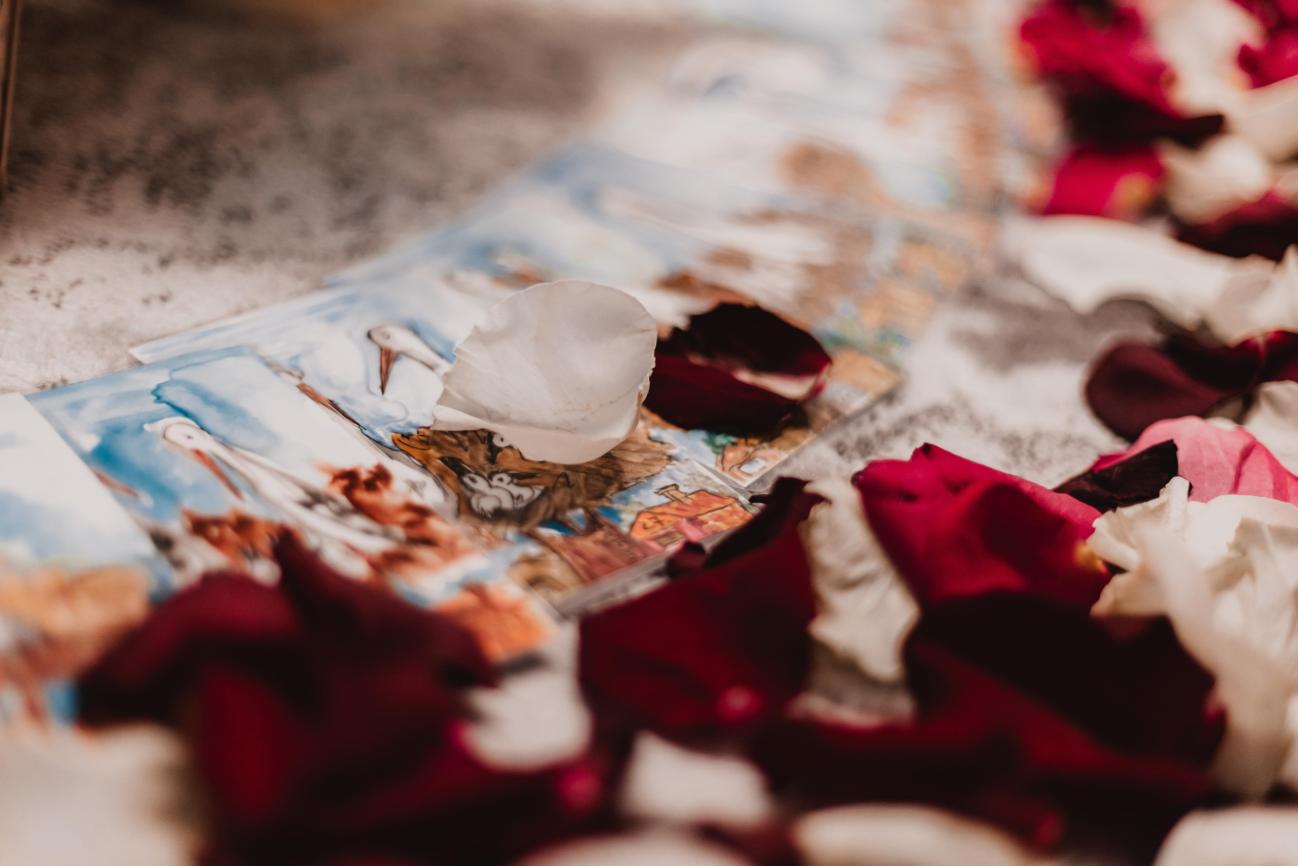 Рождение Королевы. Mariam Bagdasaryan