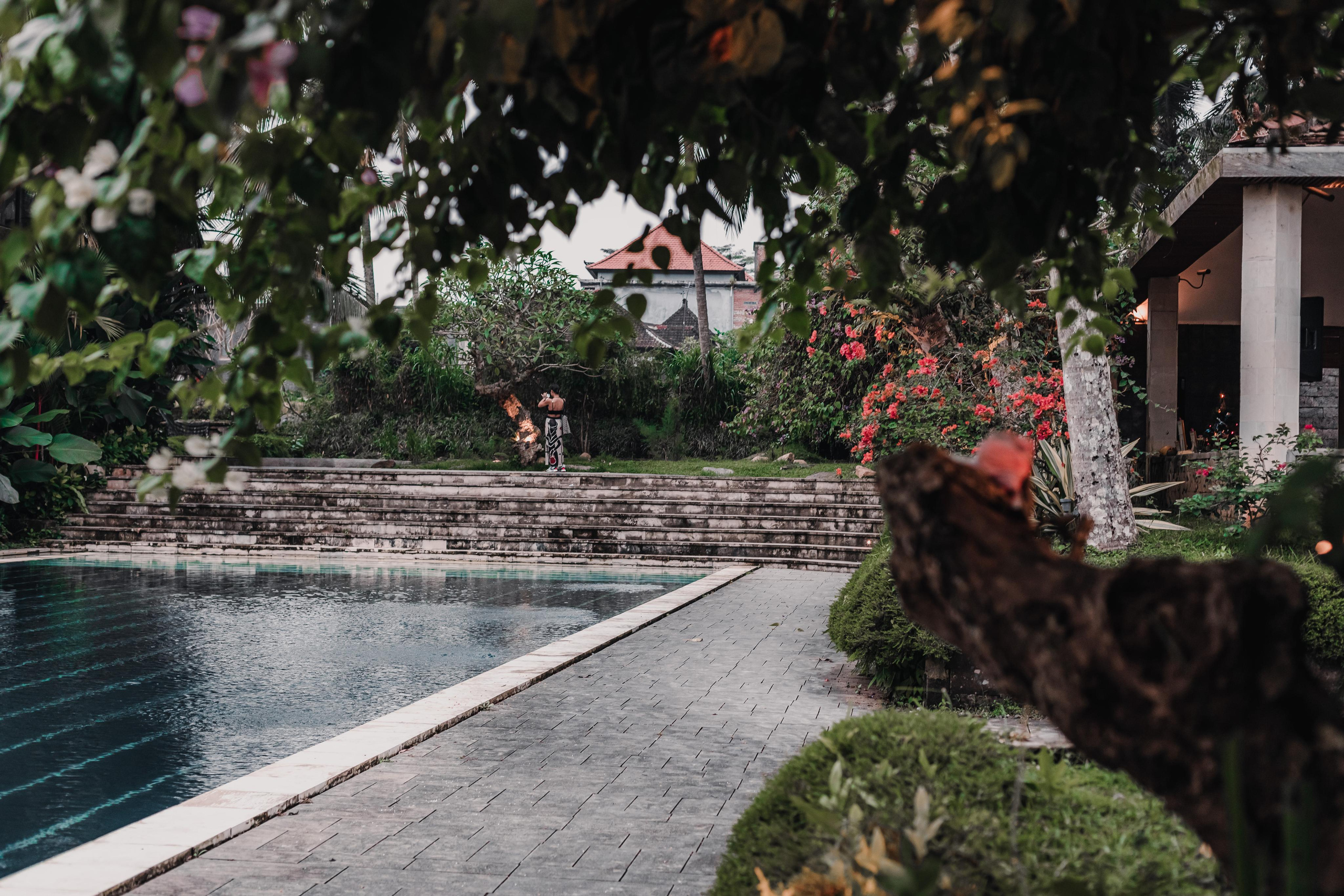 Предновогодний Киртан на Бали. Mariam Bagdasaryan