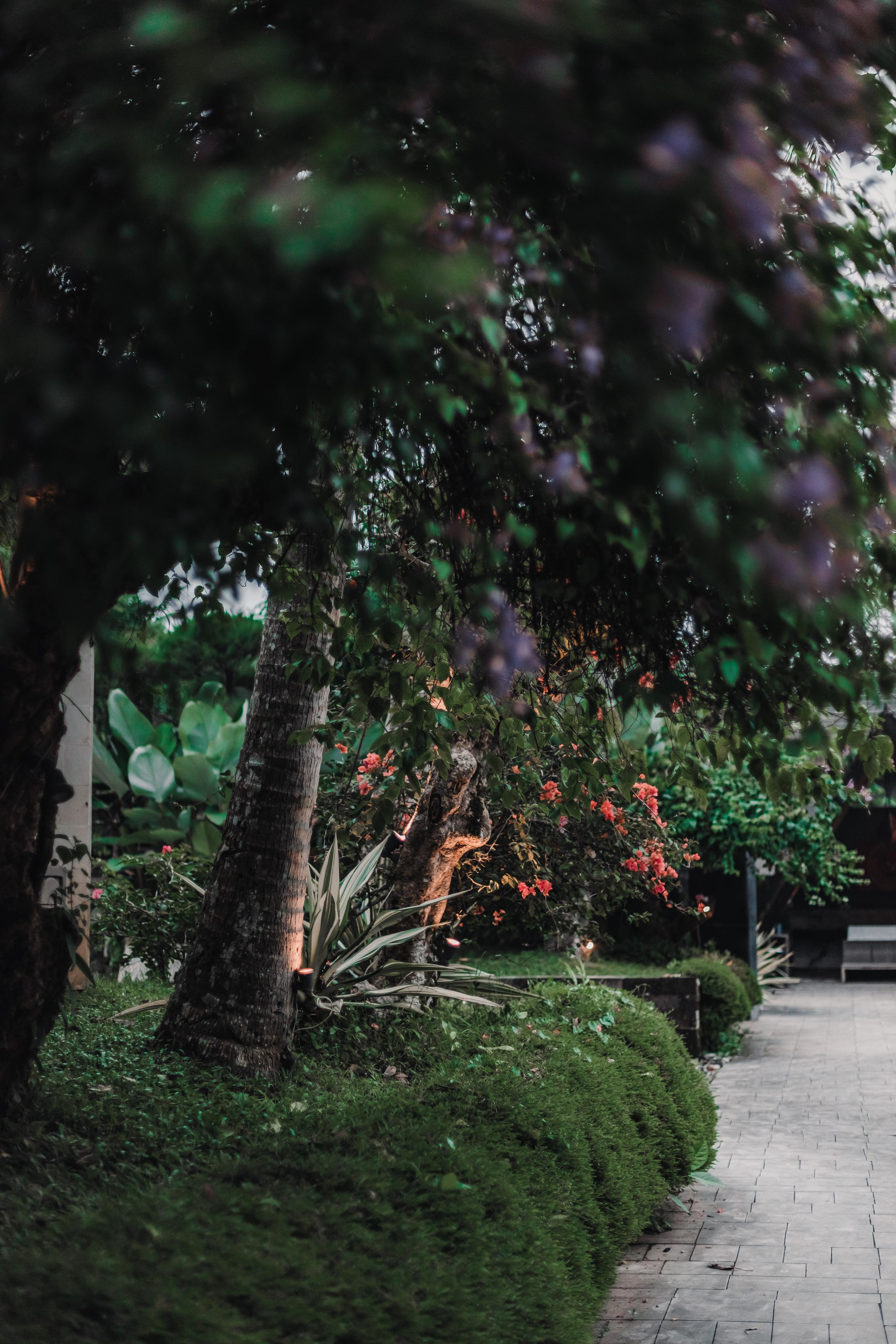 Предновогодний Киртан на Бали. Mariam Bagdasaryan