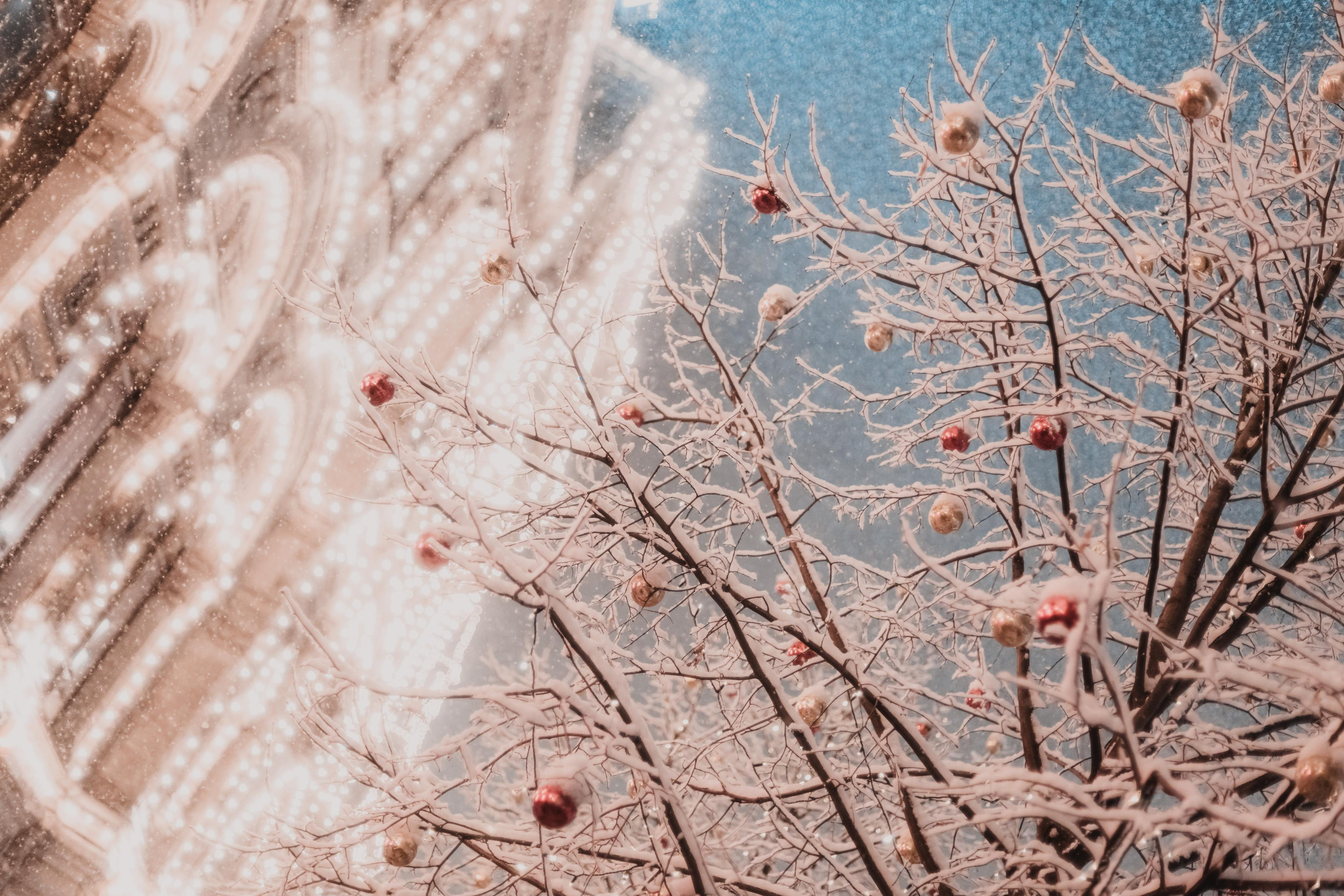 Новогодняя ярмарка. Светлана. Mariam Bagdasaryan