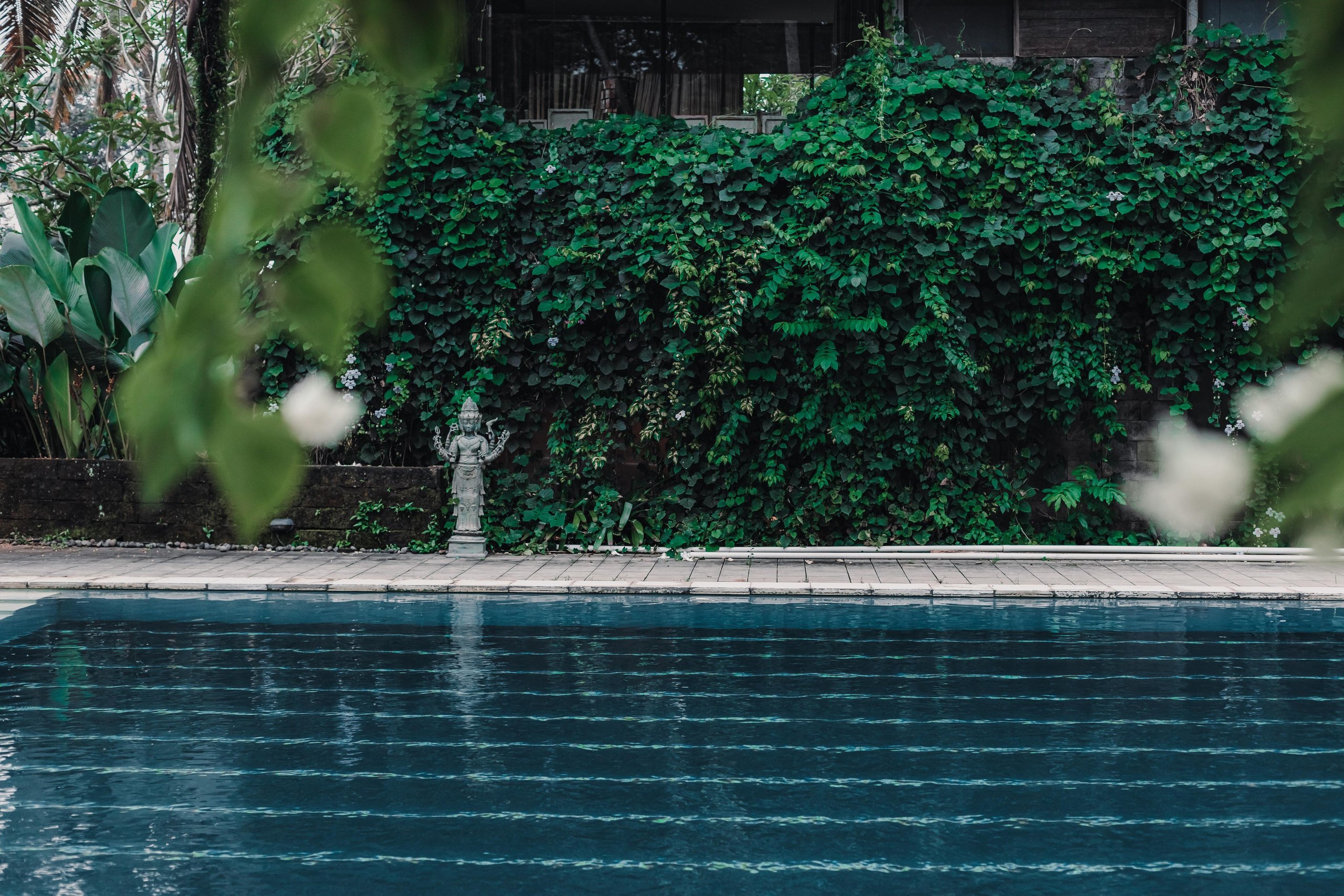 Предновогодний Киртан на Бали. Mariam Bagdasaryan