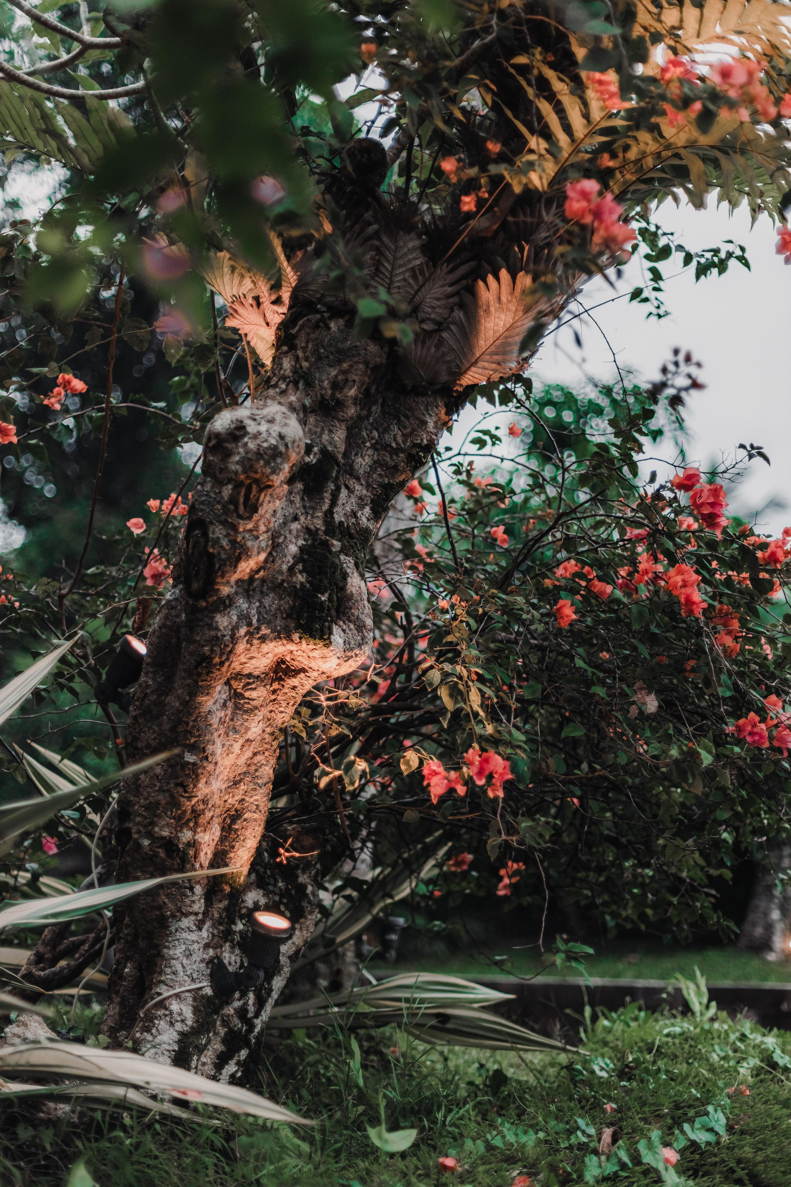 Предновогодний Киртан на Бали. Mariam Bagdasaryan