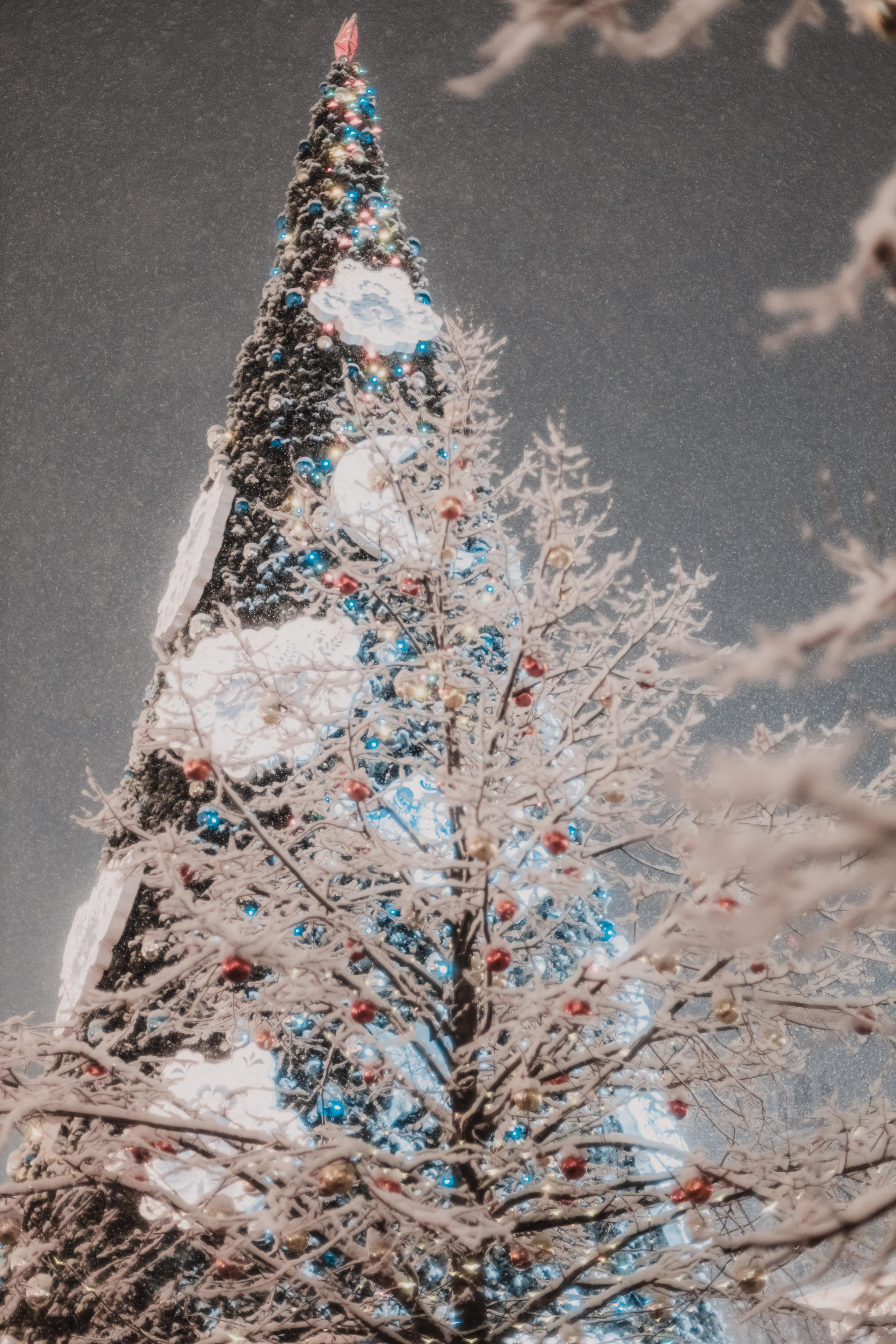 Новогодняя ярмарка. Светлана. Mariam Bagdasaryan