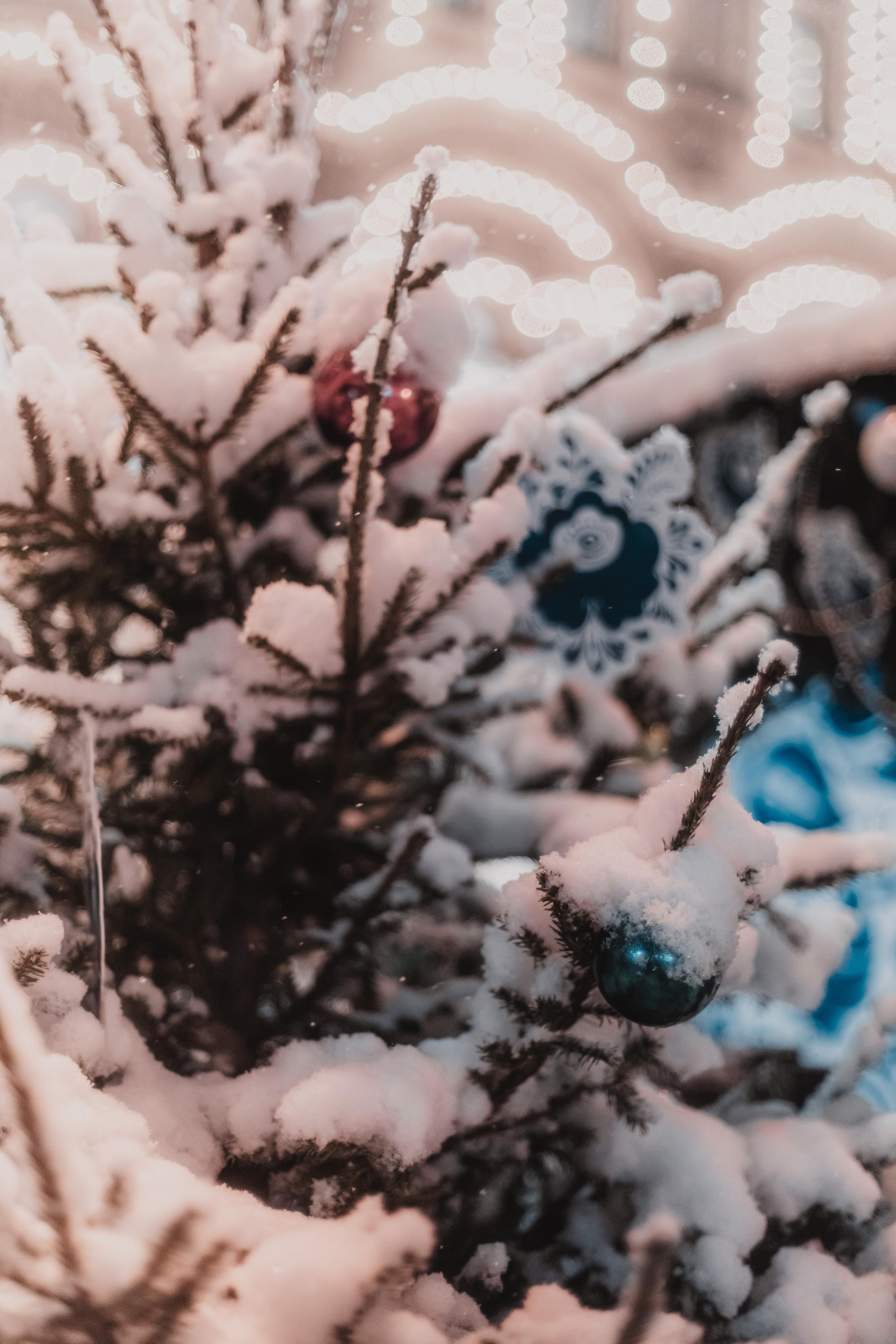 Новогодняя ярмарка. Светлана. Mariam Bagdasaryan