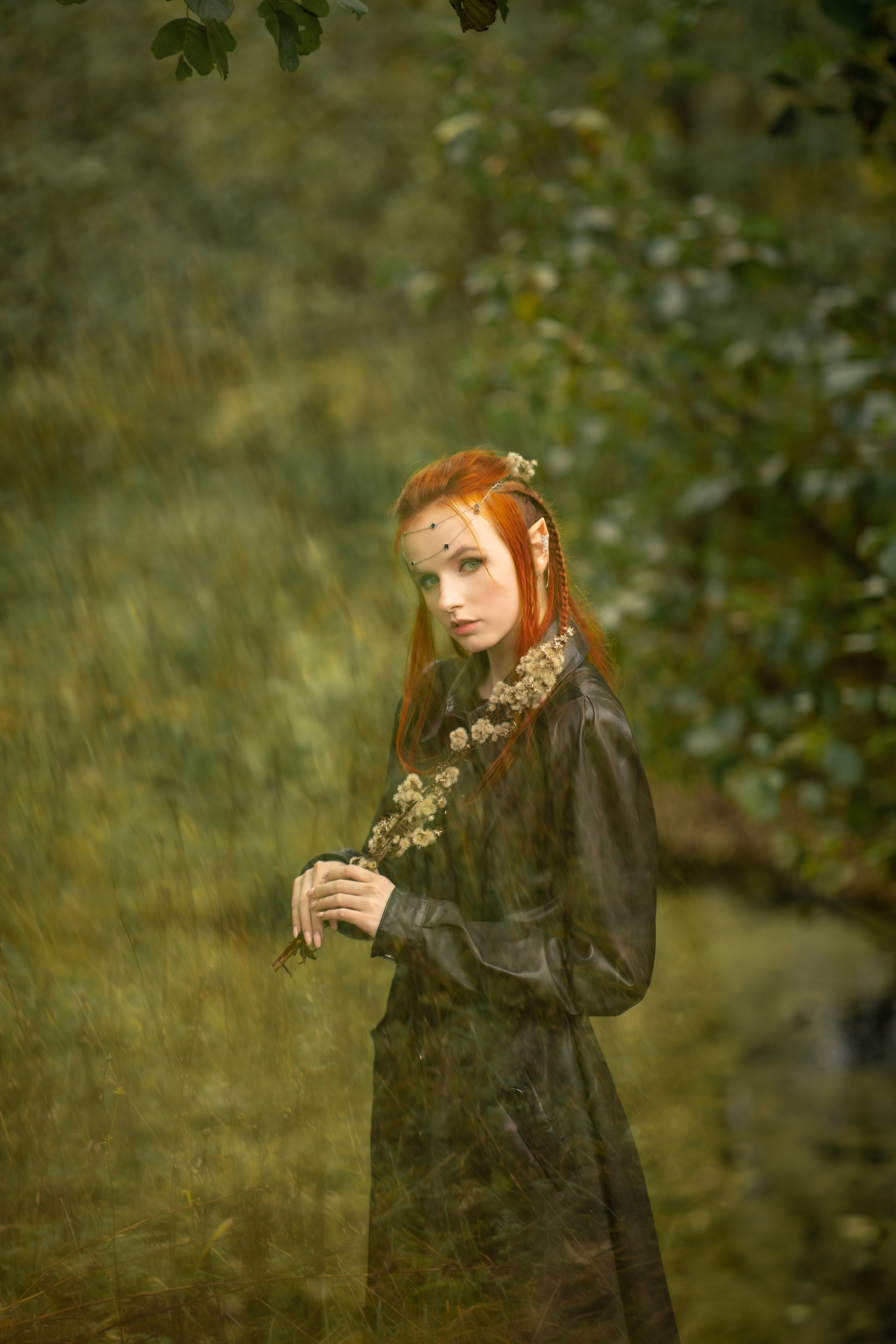 Волшебный лес