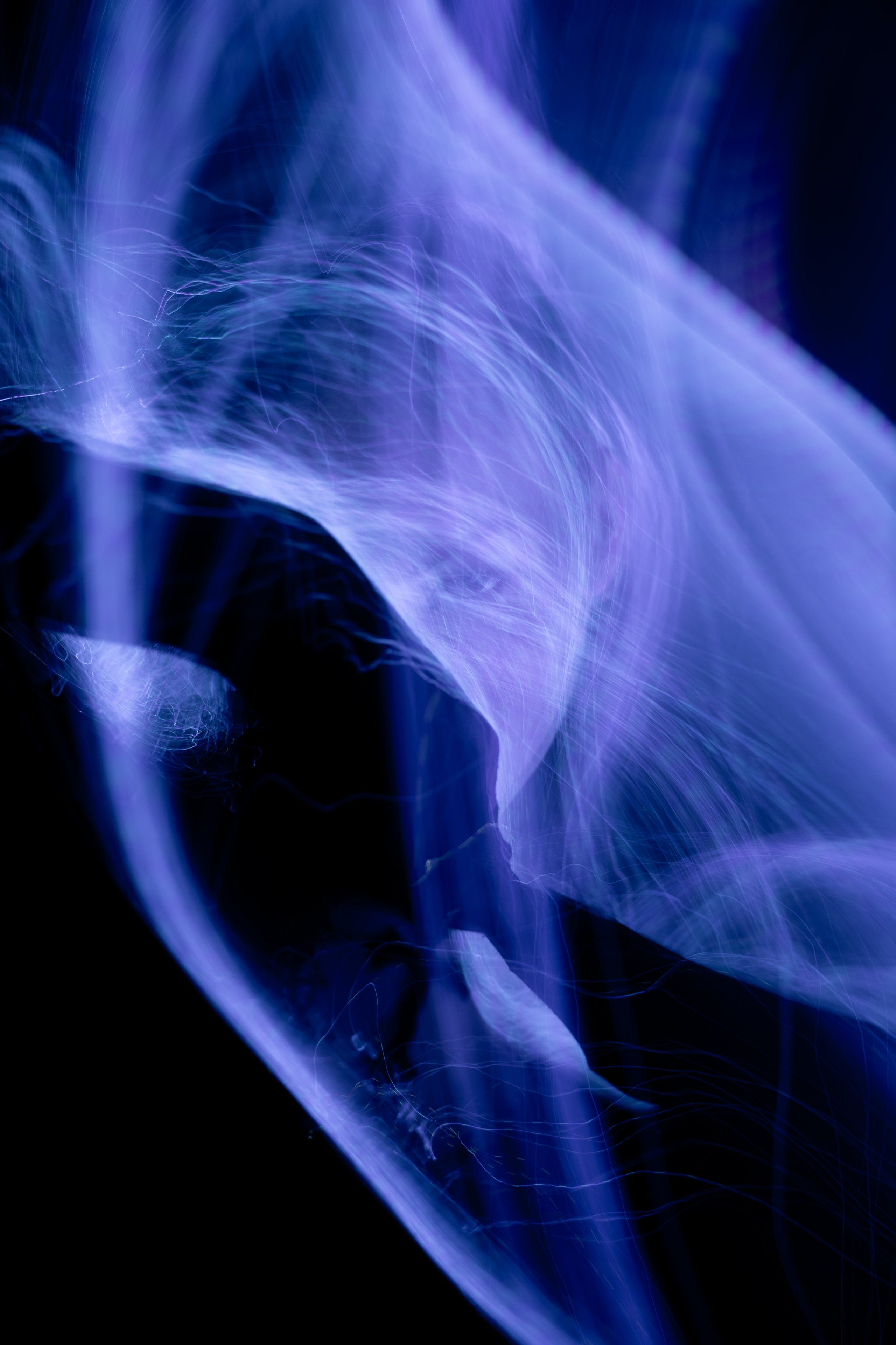 фотограф краснознаменск московская область