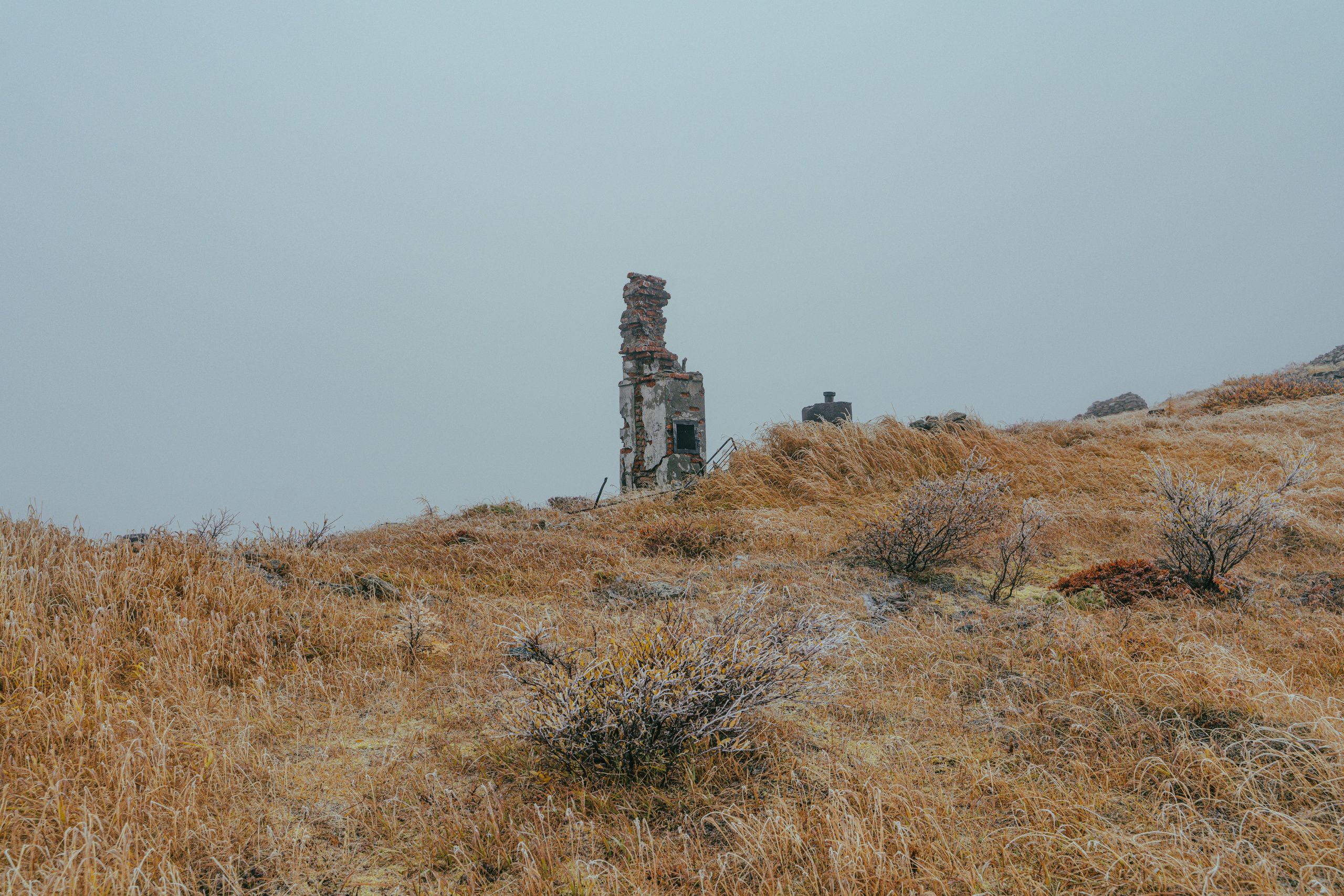 Планета Колыма. Элина Гусарова