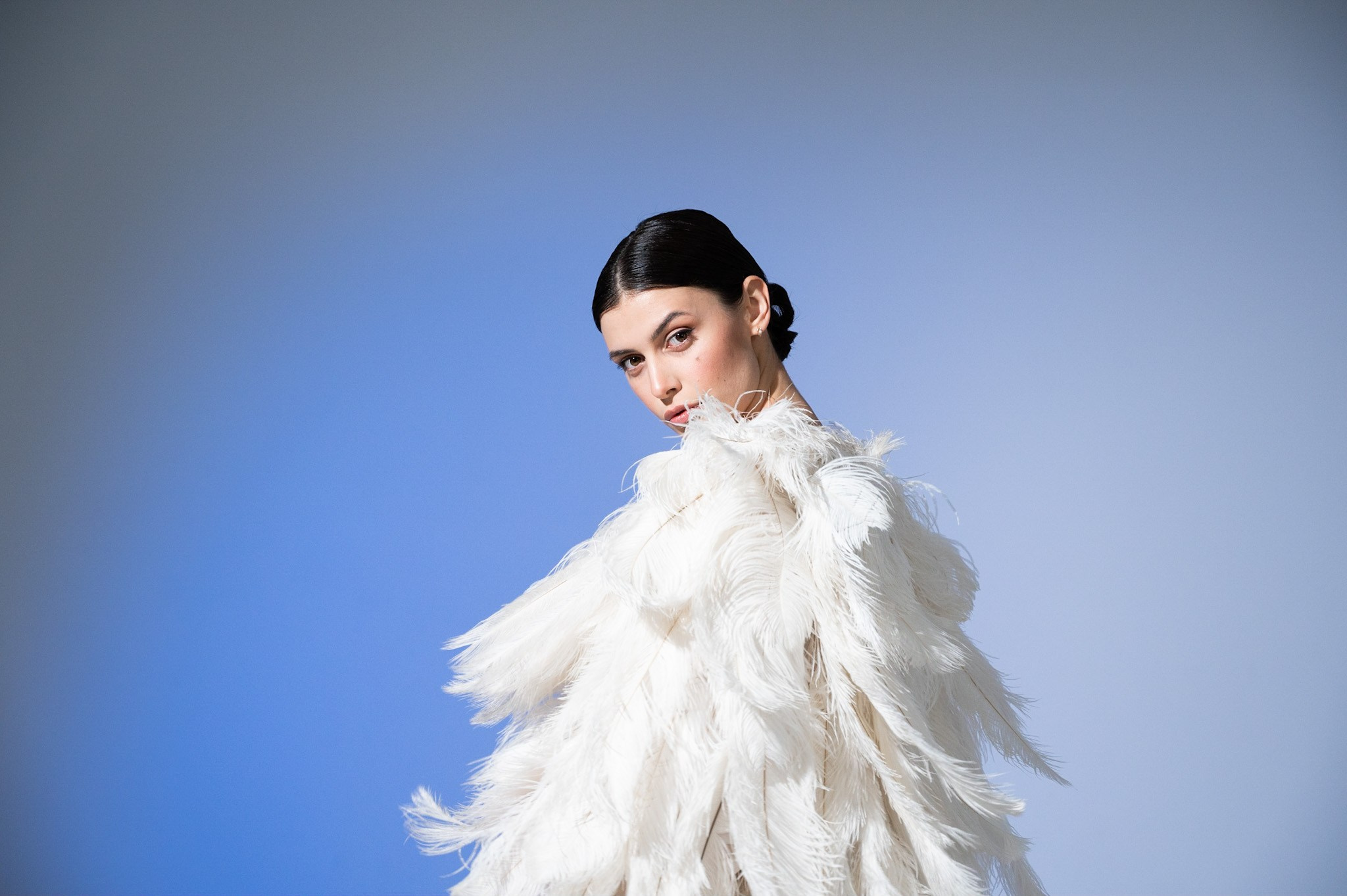 White Feathers. NL