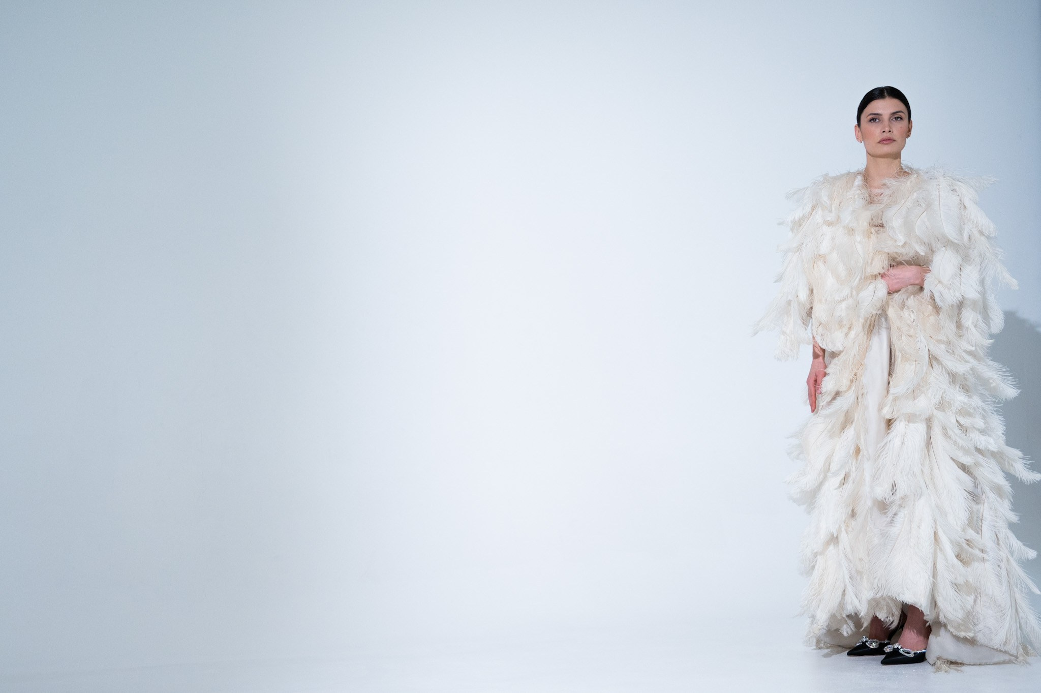 White Feathers. NL
