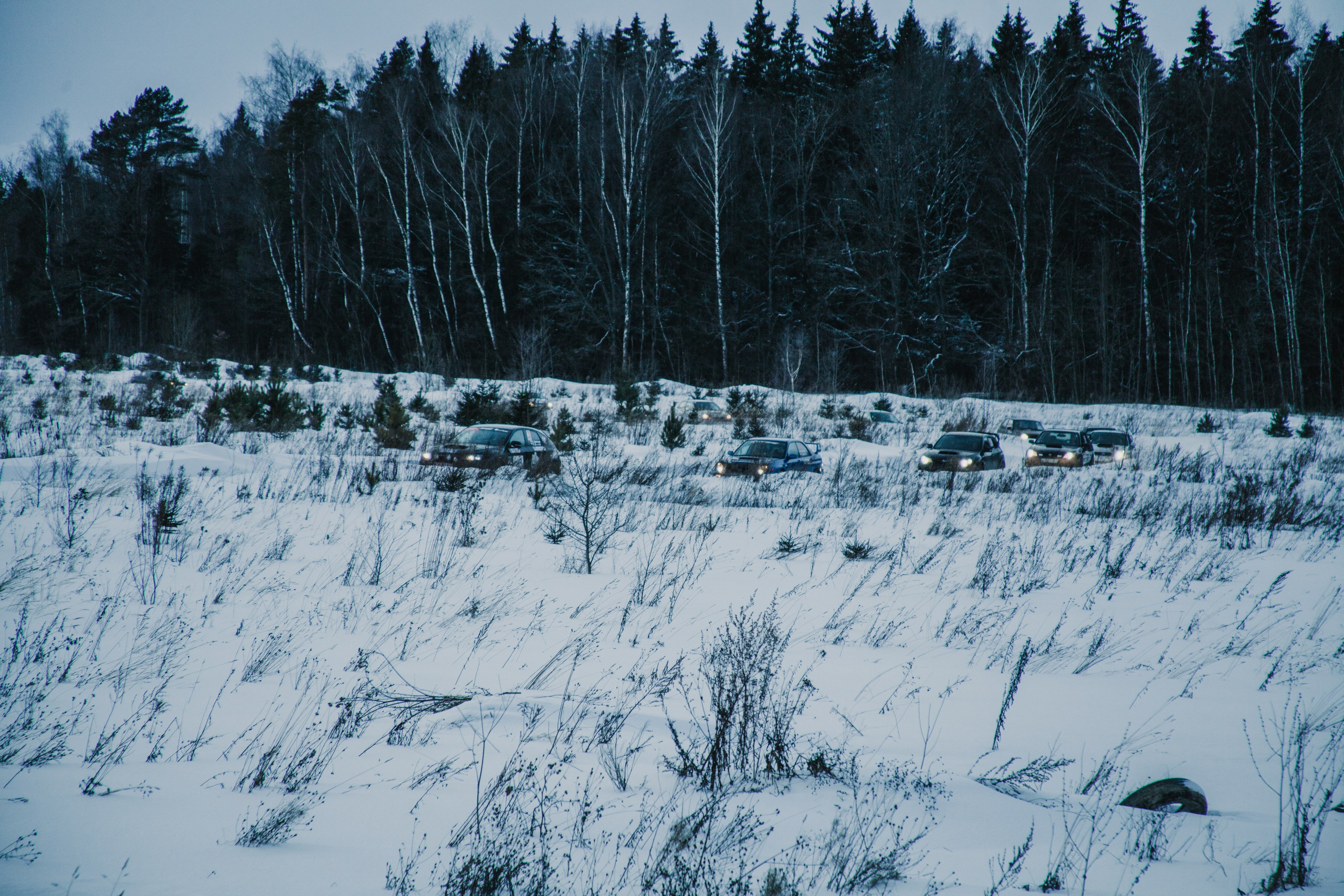 RSE Тропикана 2021. Мультижанровый фотограф в Москве Наталия Степанова