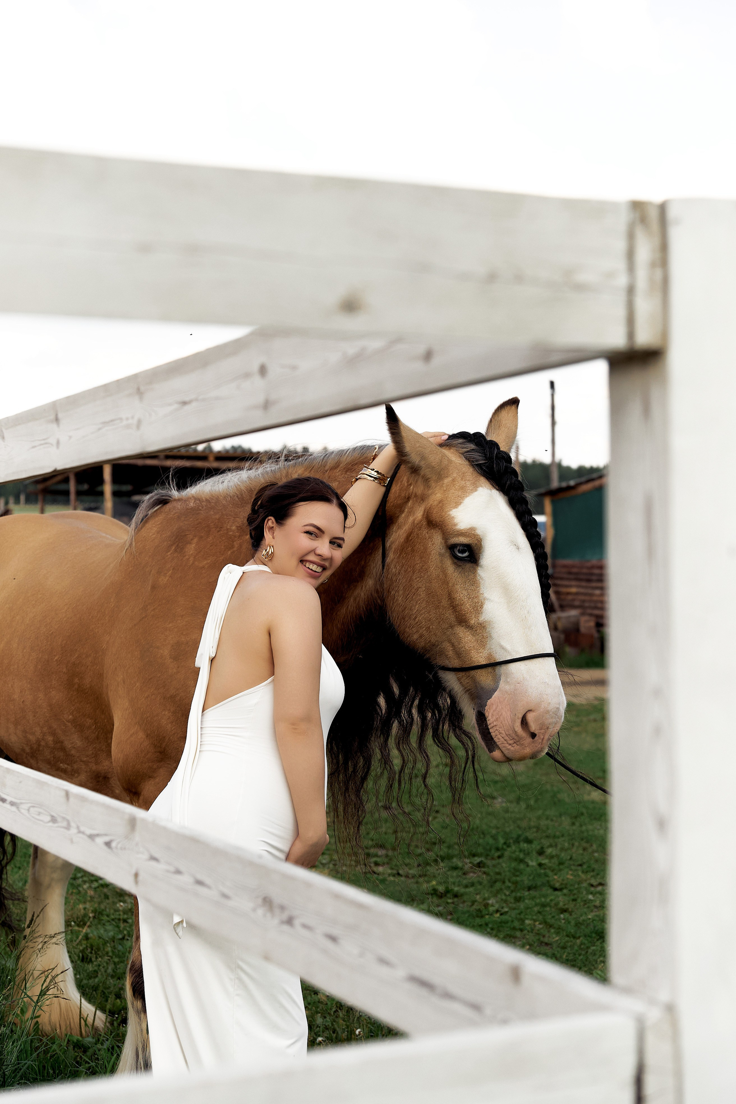 Алена Аллаки и конюшня. Главная