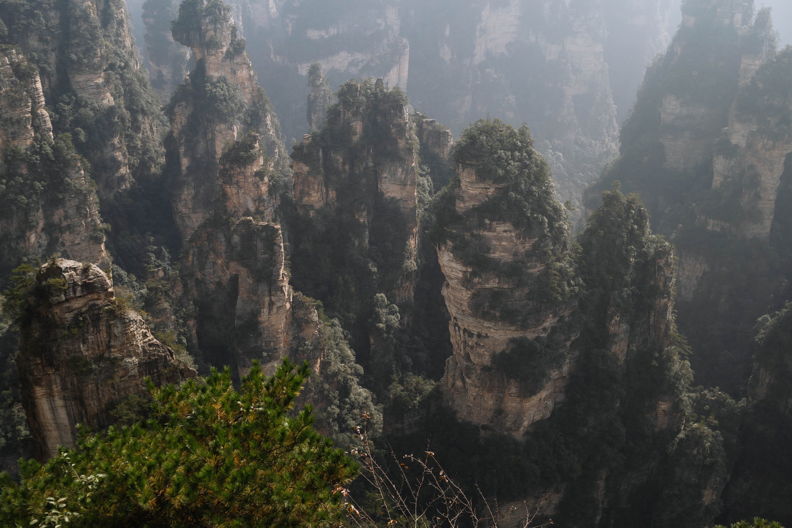 Travel. Фото, видео и контент съемки в Москве