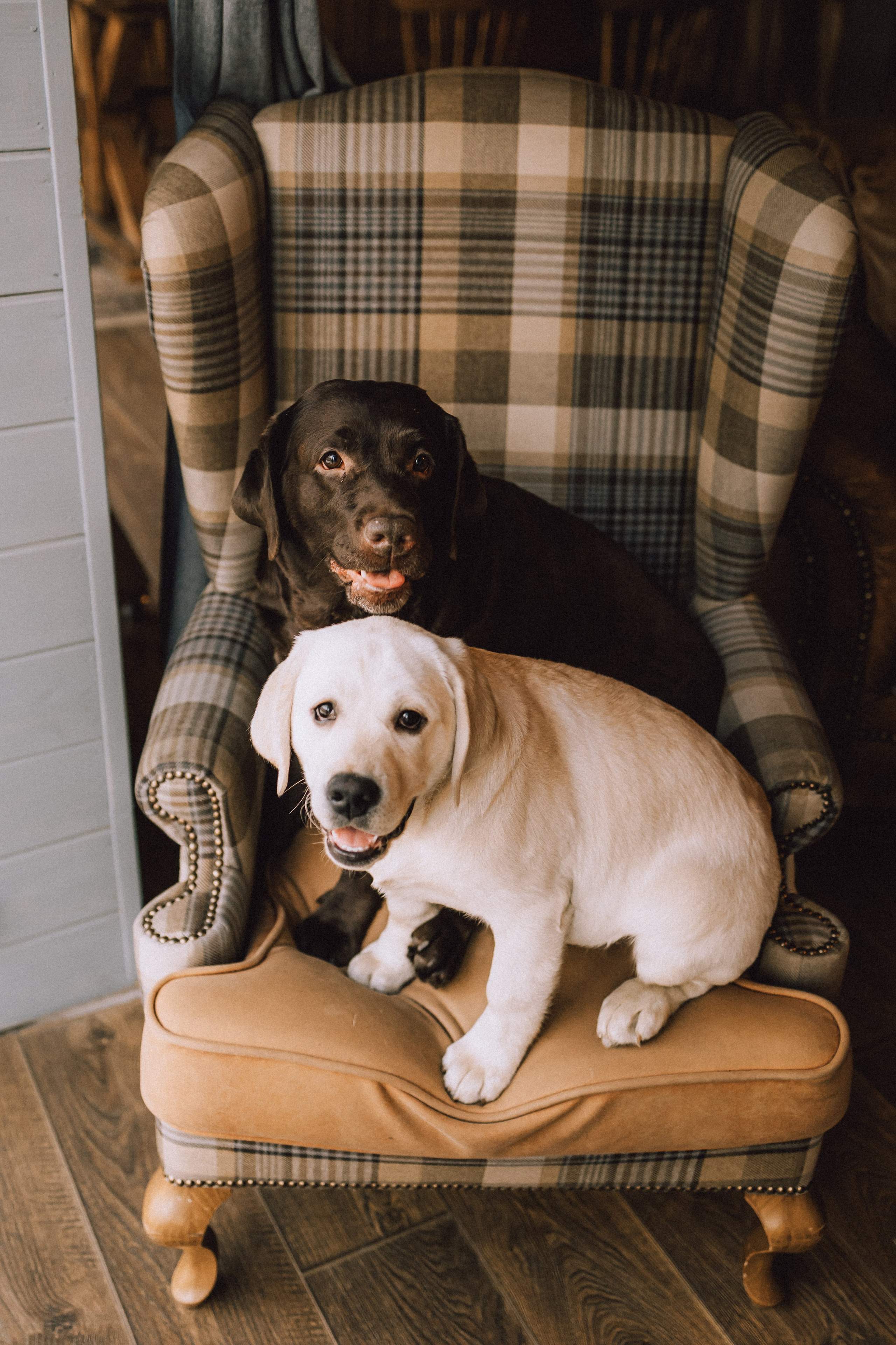 Ума, Берта и их семья