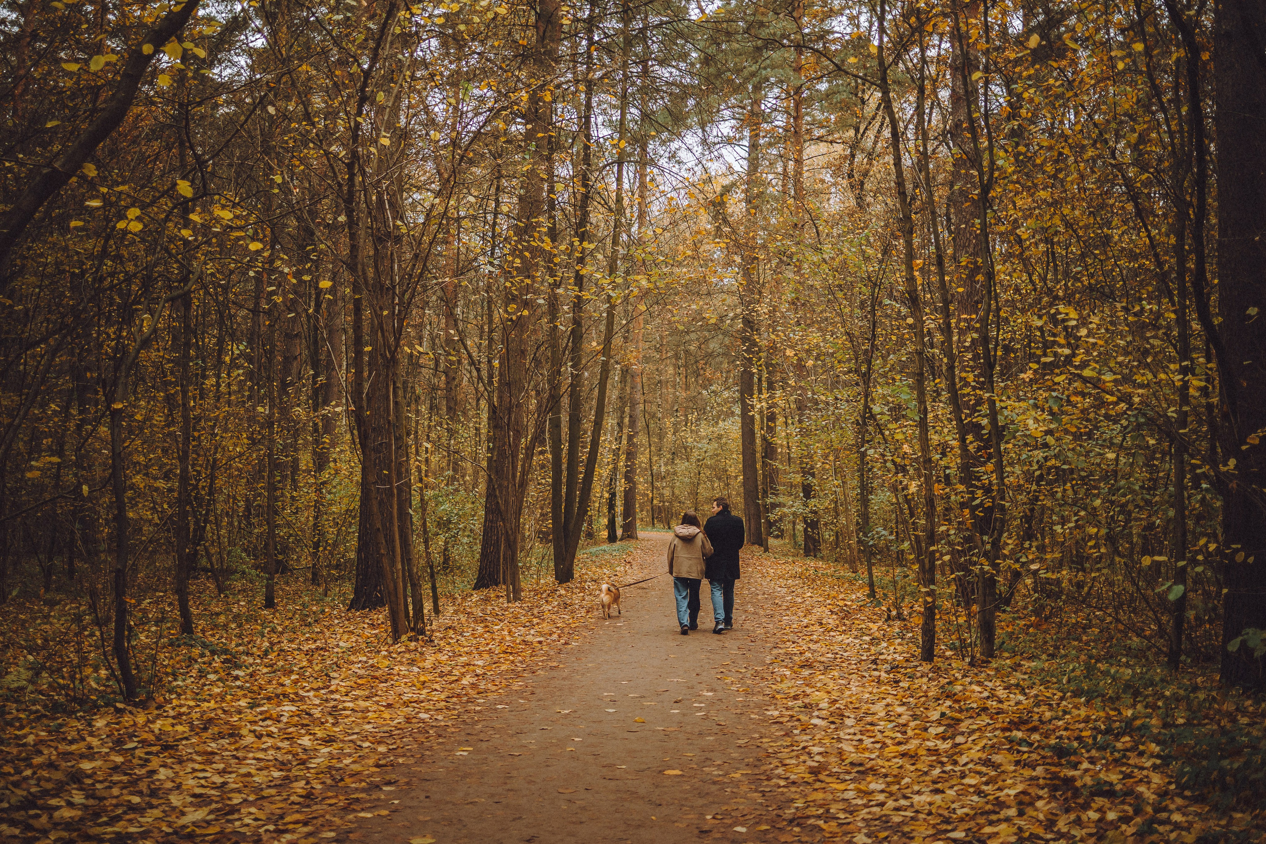 Настя, Юра и Скай
