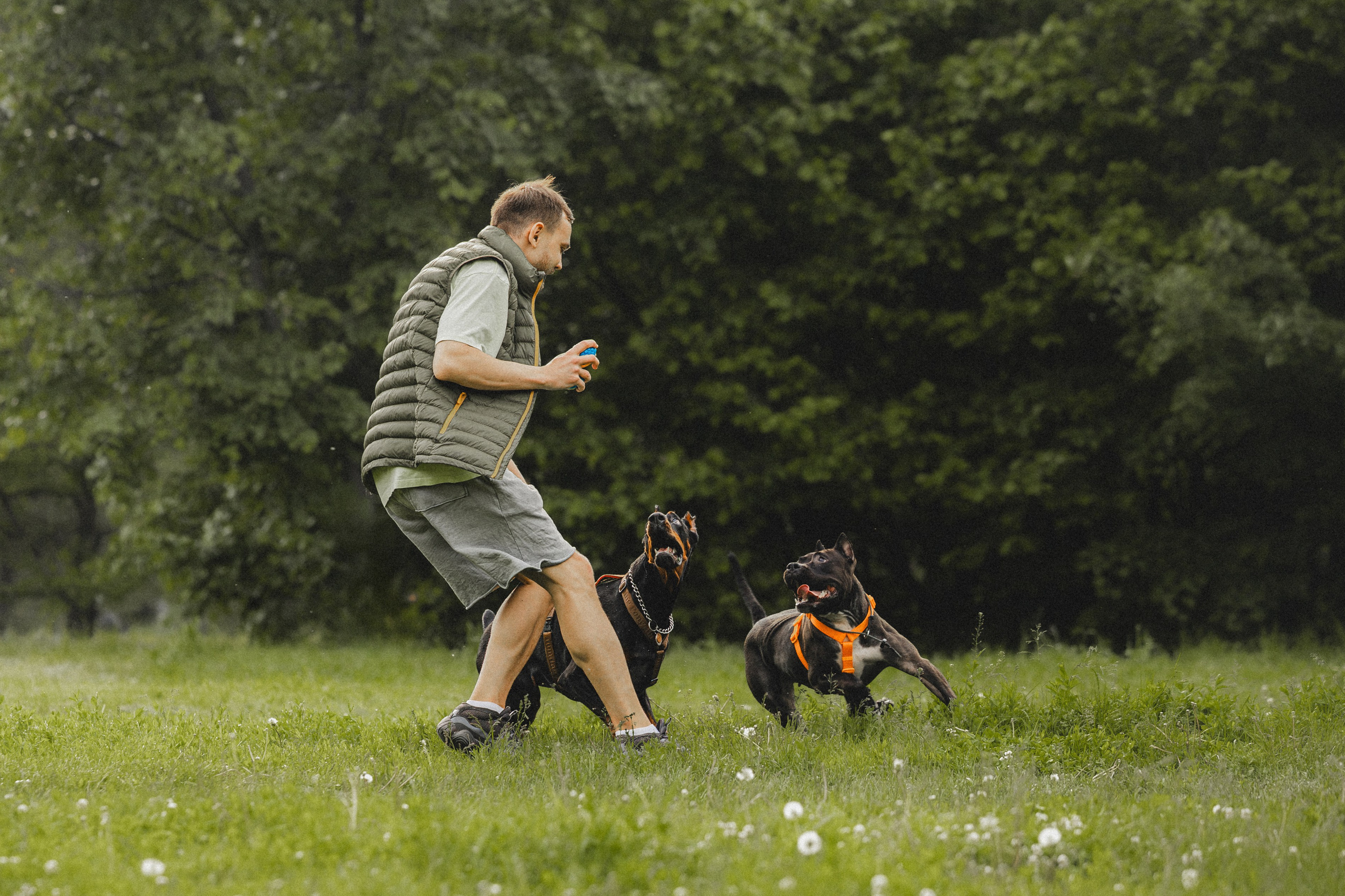 Паша, Хайди и Тея