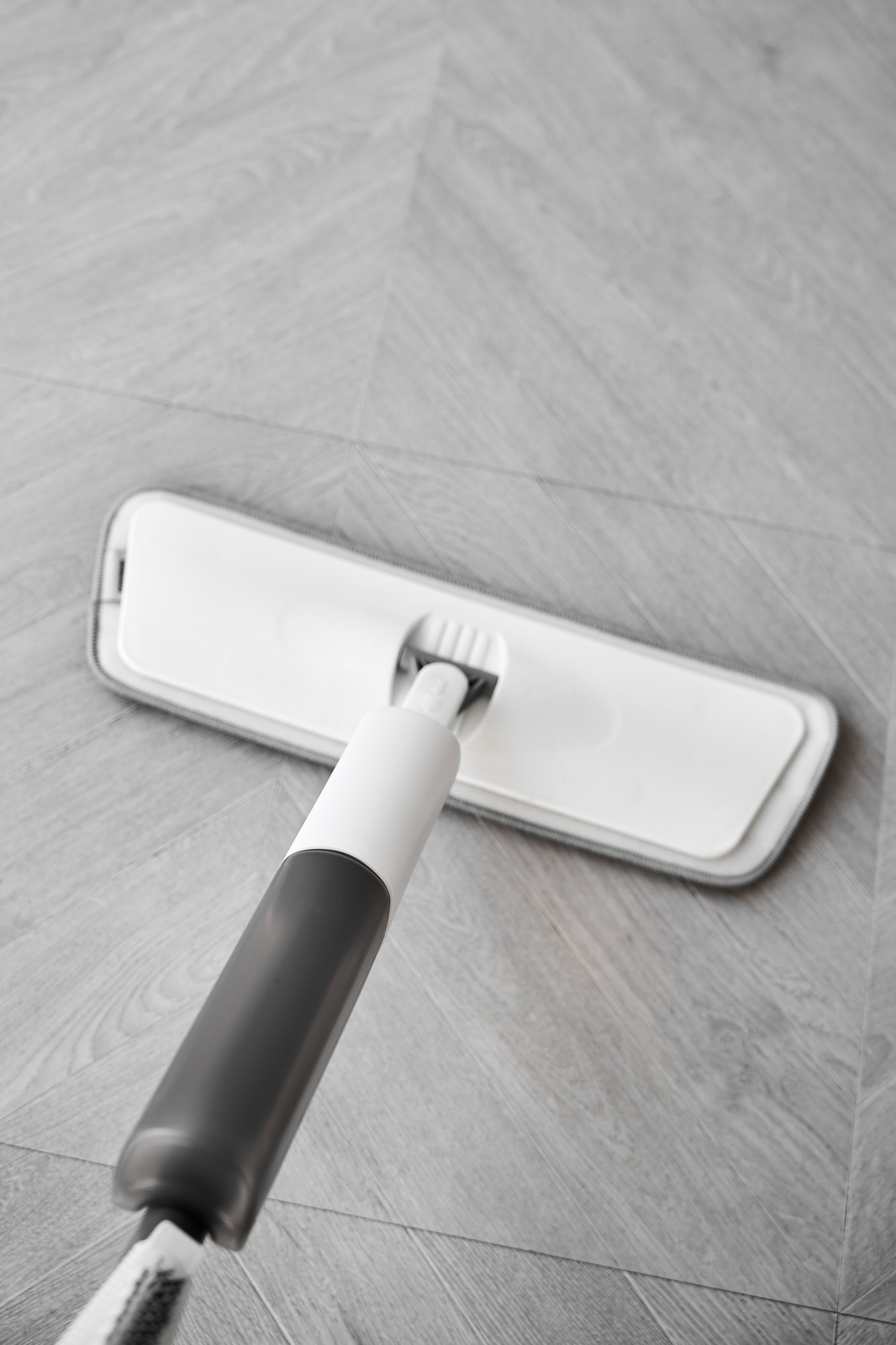 White cat. Фотограф в Москве Казакова Анна