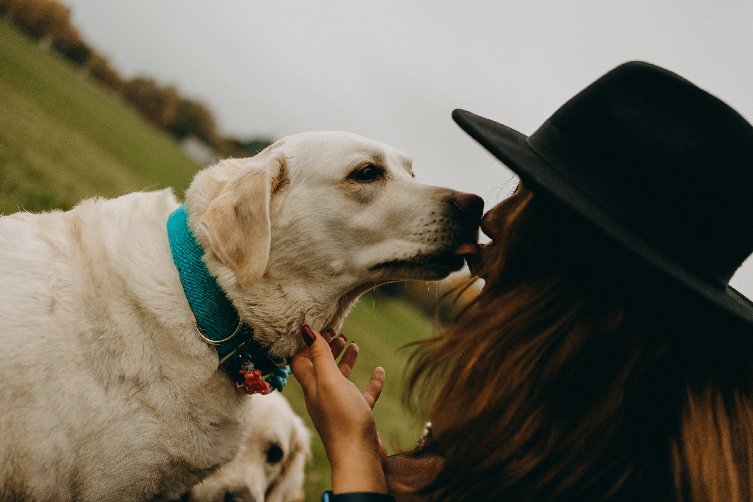 Женя и ее девочки. Фотограф — Анималист | Санкт-Петербург
