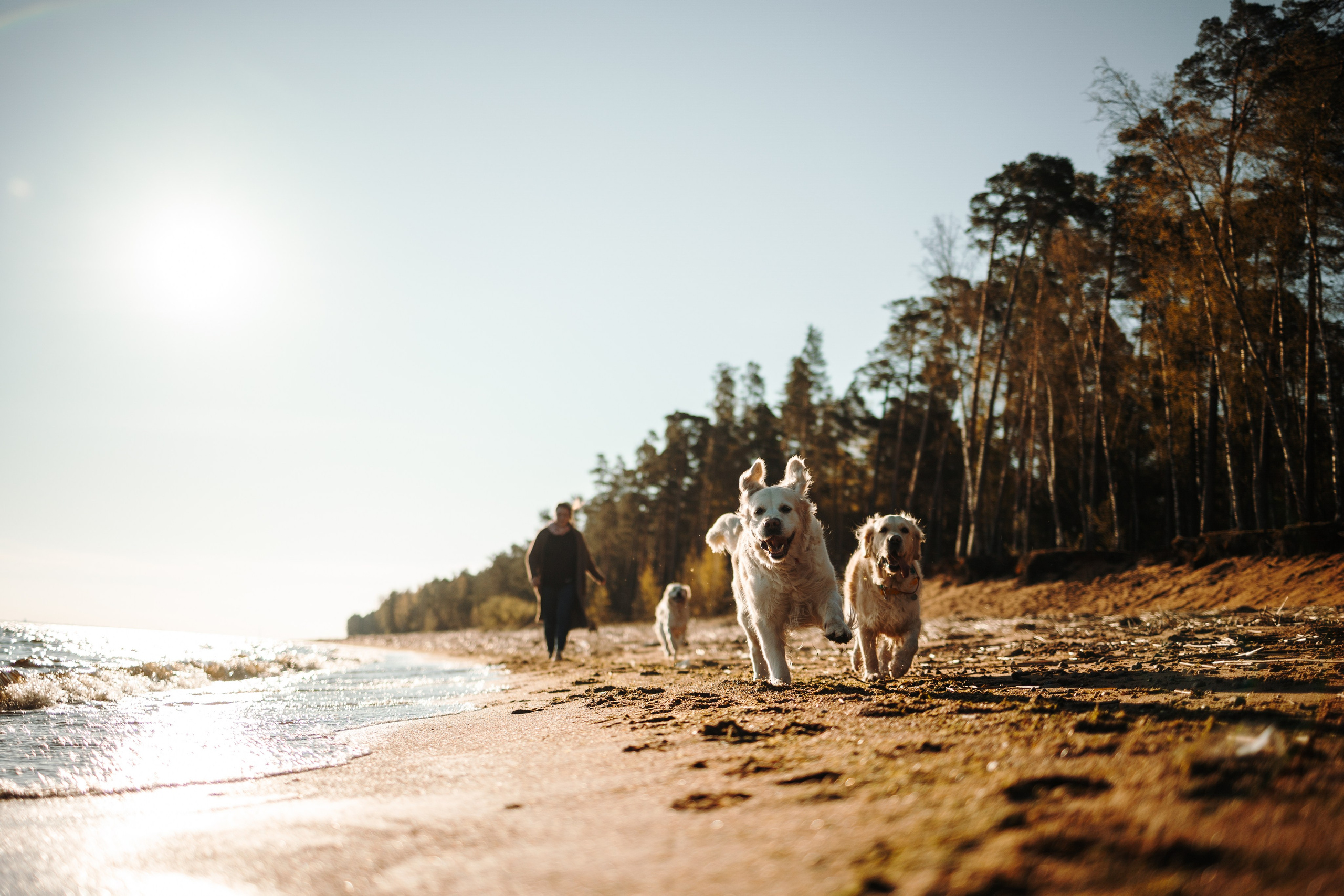Катя и ее девочки. Фотограф — Анималист | Санкт-Петербург