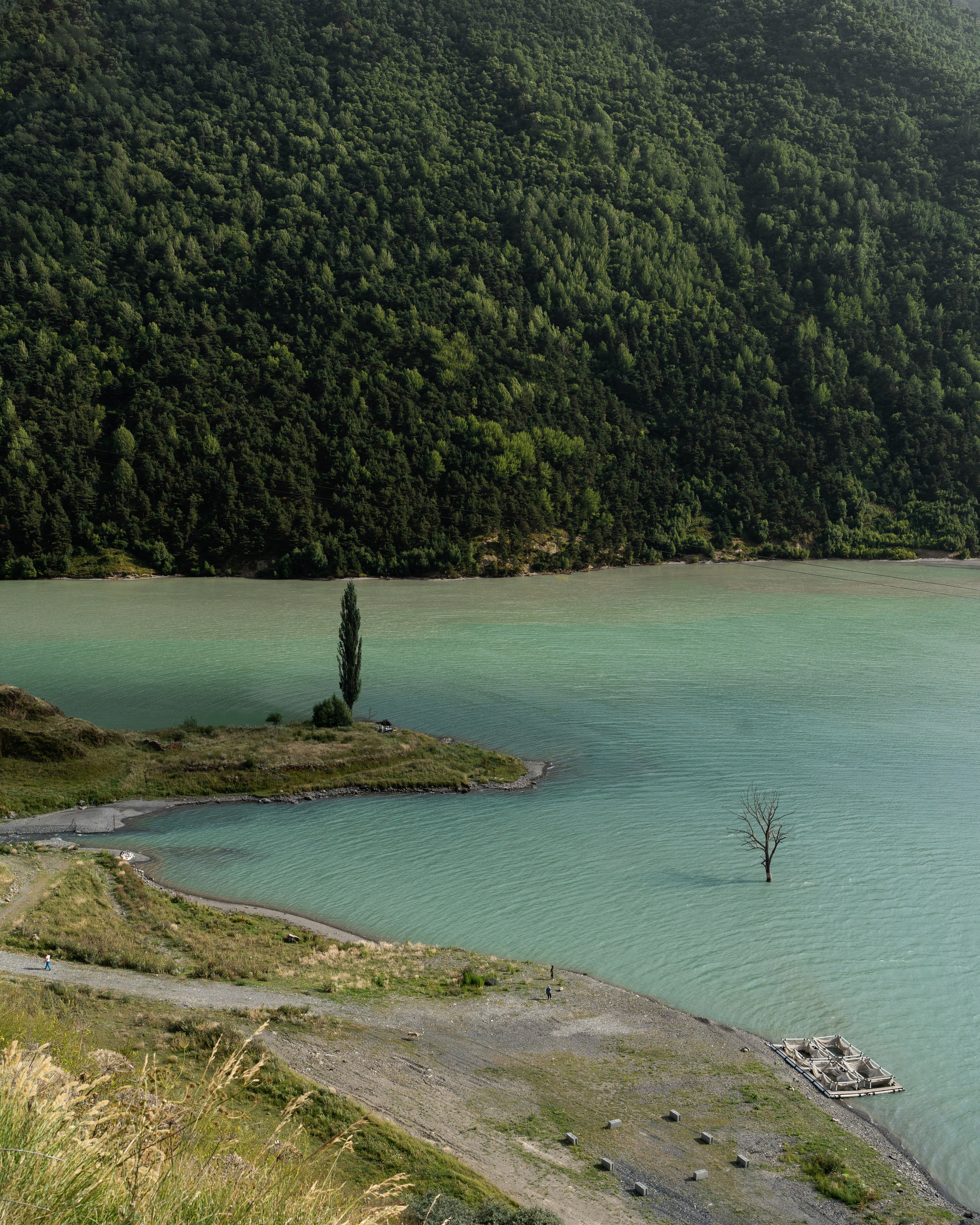 Блог. Фотограф и видеограф Елена Хмелевская