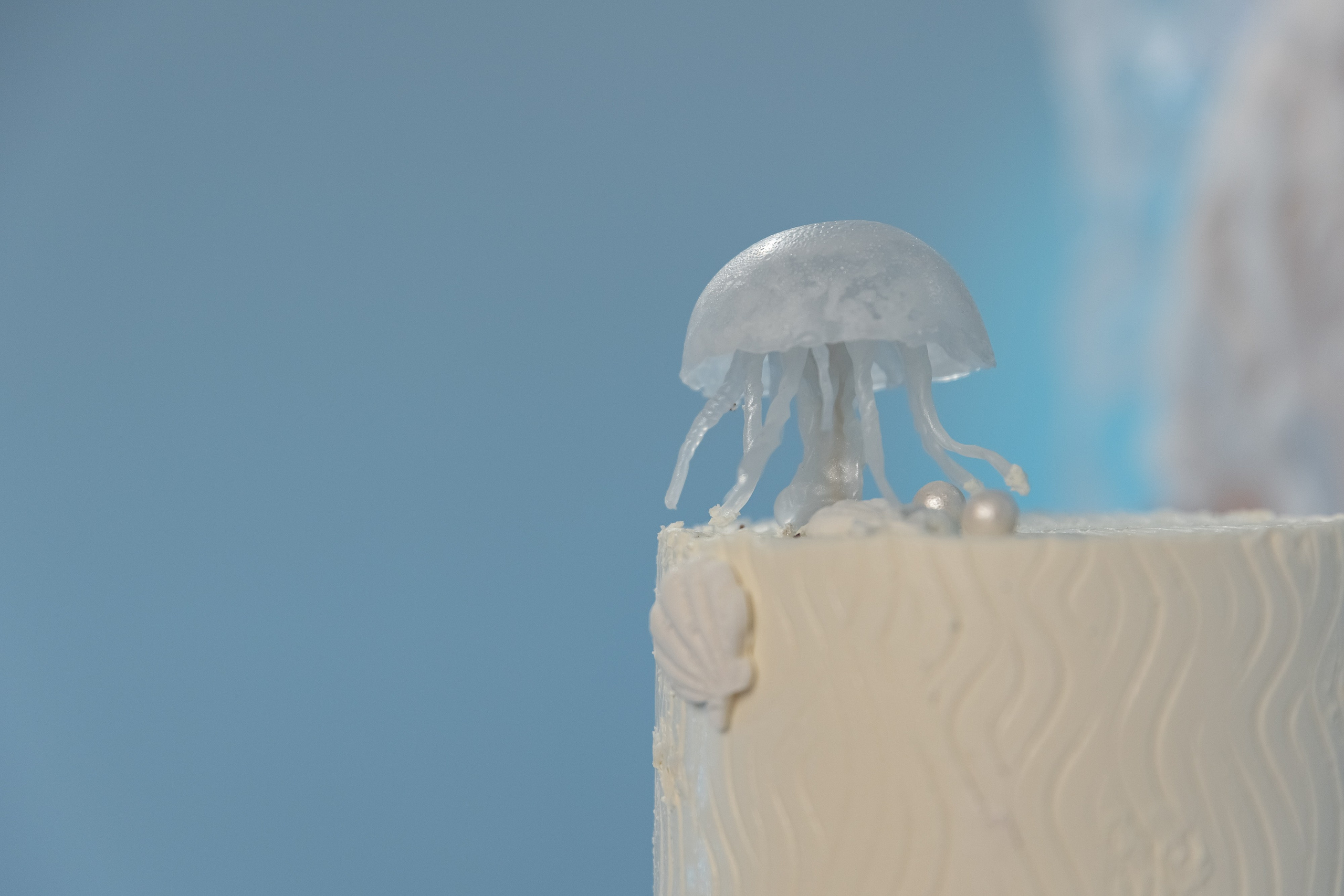 A&A. Свадебный фотограф