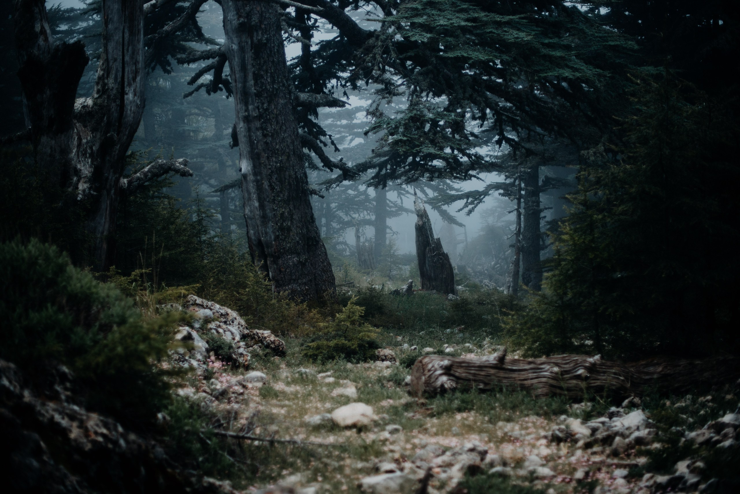 Природа. Спортивный фотограф Тремпольцева Анна