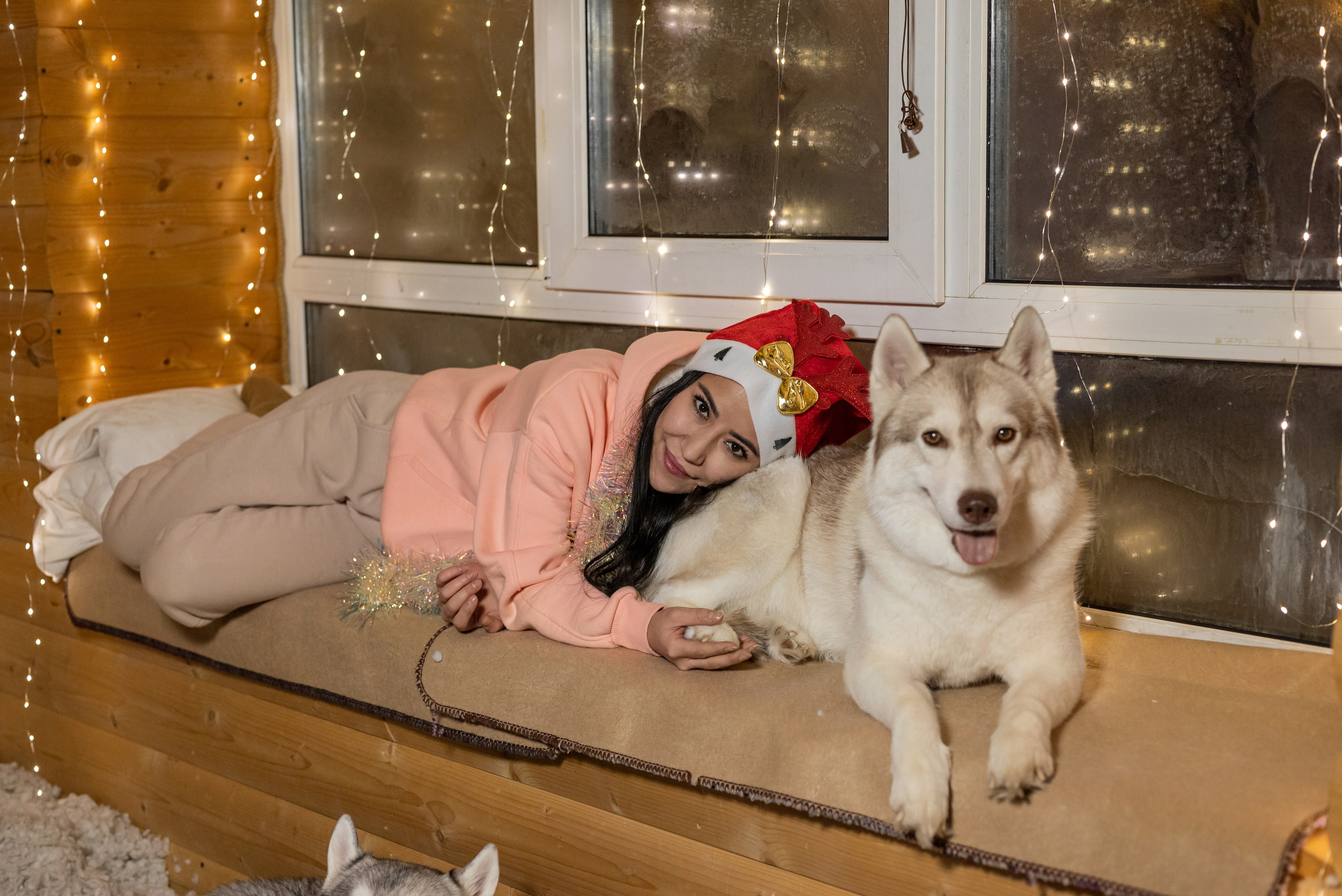 Фотопроект с хаски 2025 г. Фотограф в городе Салават