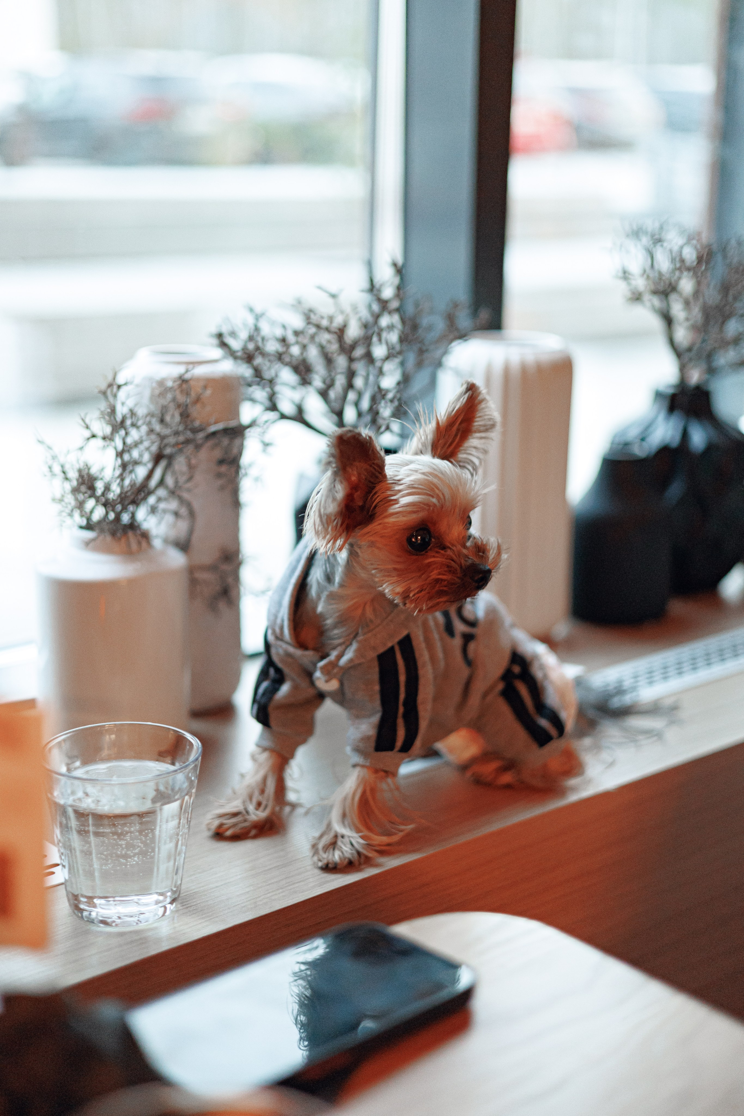 Гастроужин челябинск