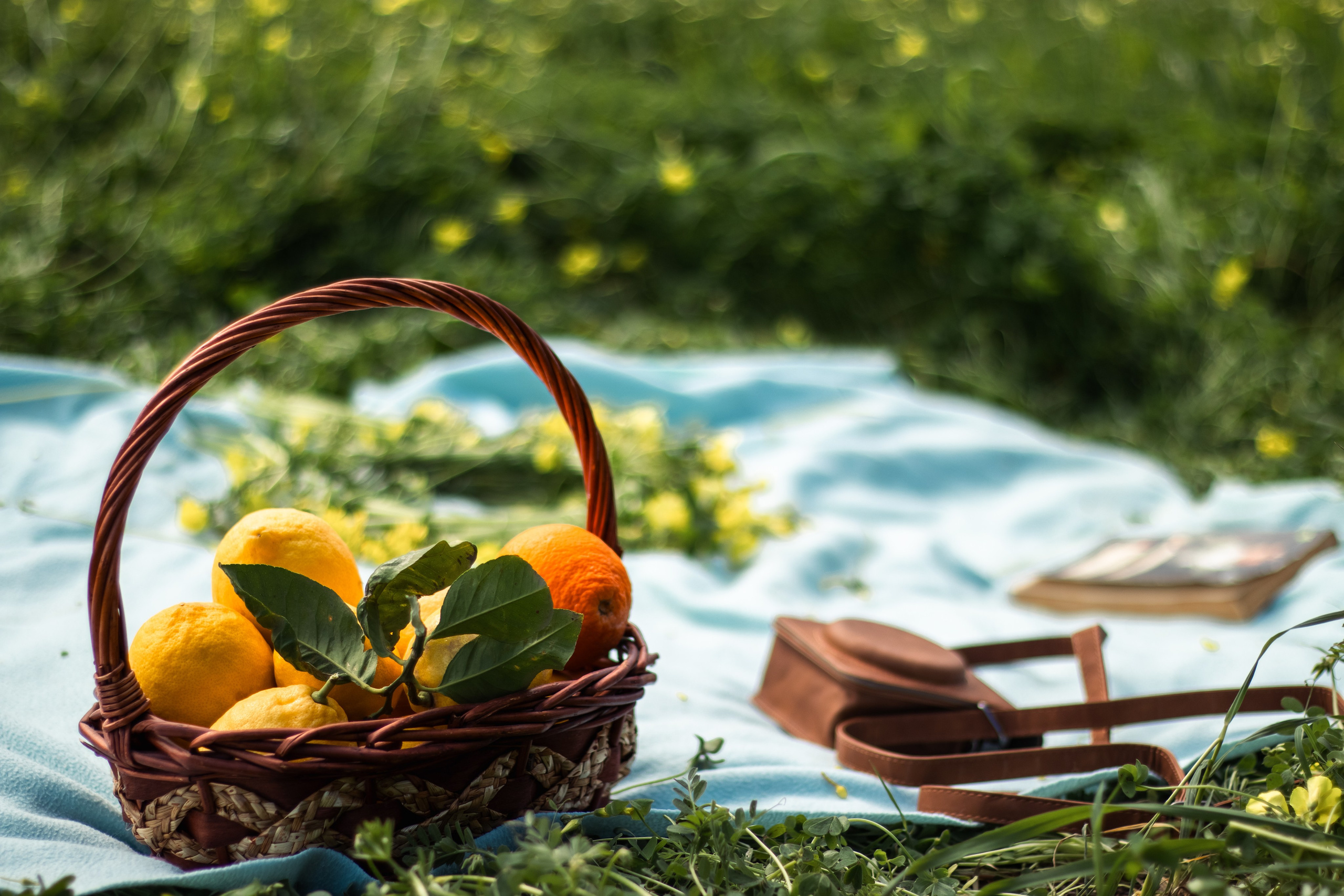 Zulfiya. Семейный фотограф Израиль