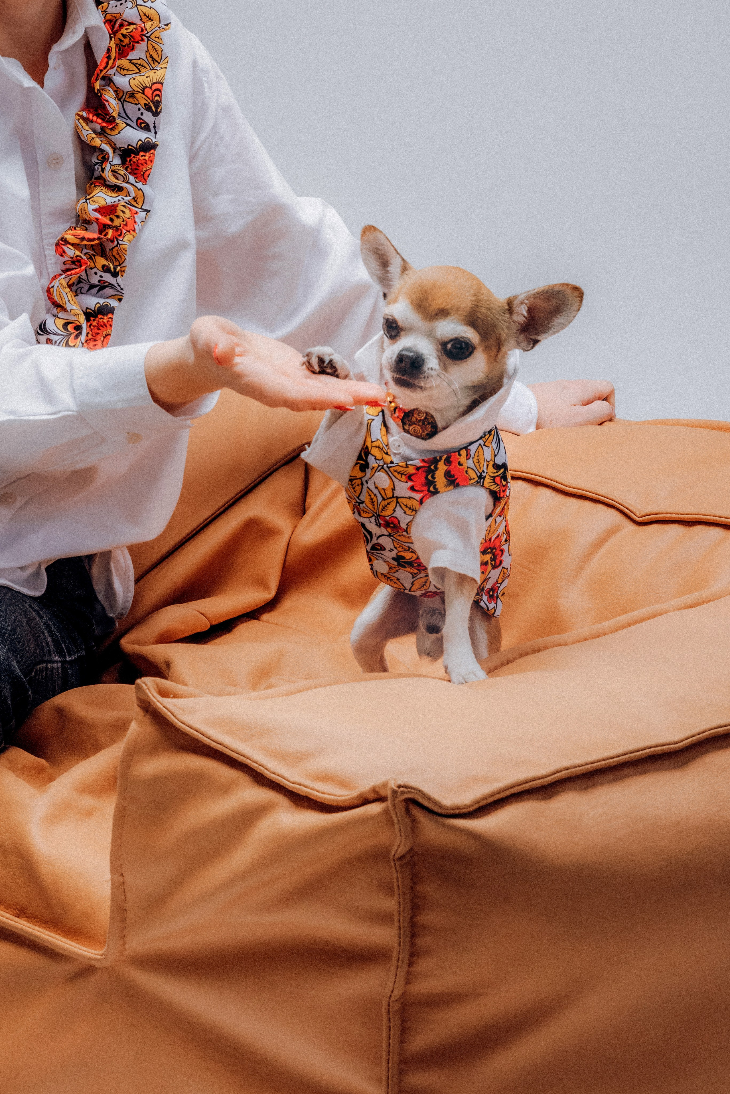 Лена для дома моды. Ольга Козлова фотограф Волгоград olkiny-fotki.ru