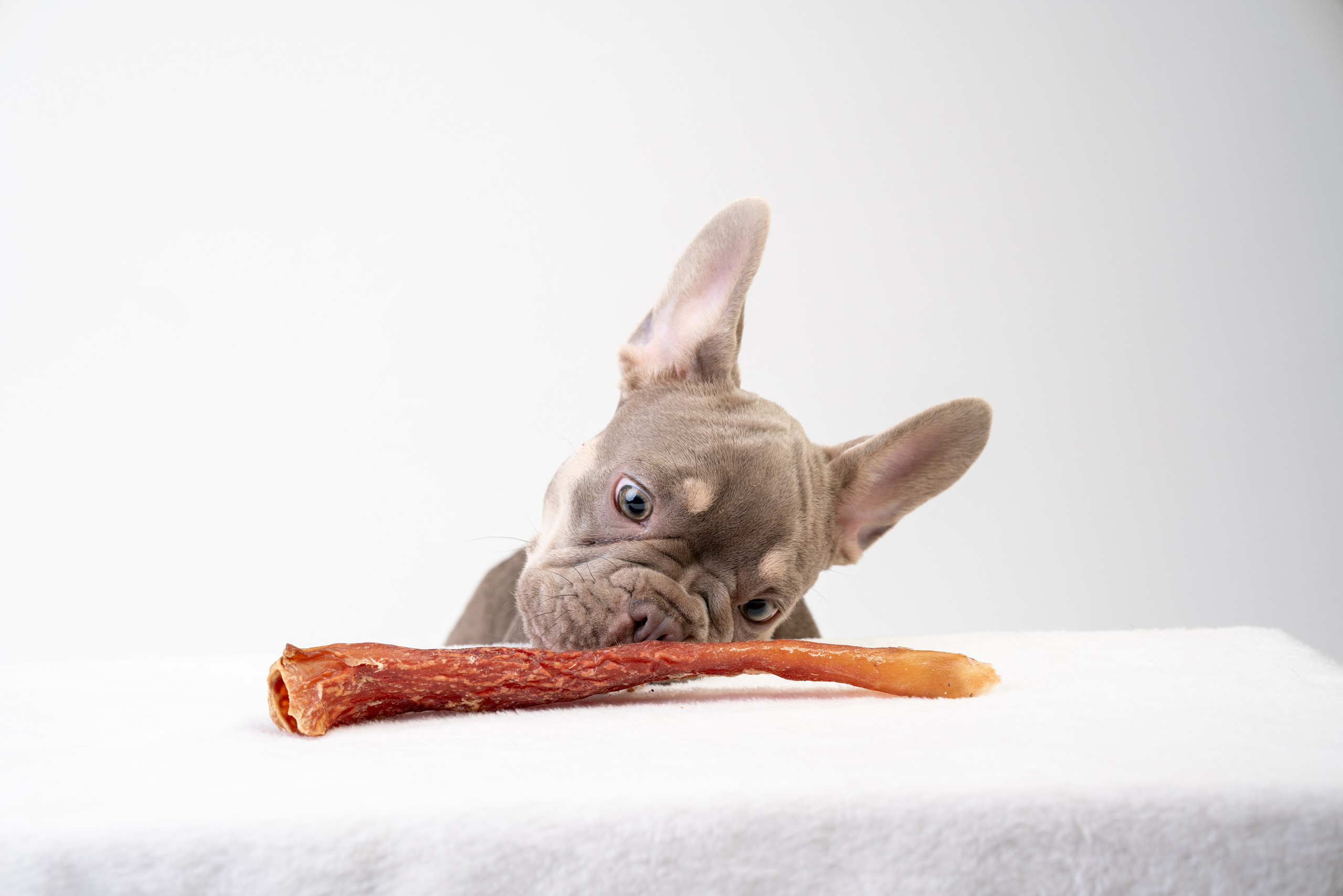 Лакомства Woofa. Фотограф анималист Осипчикова Мария