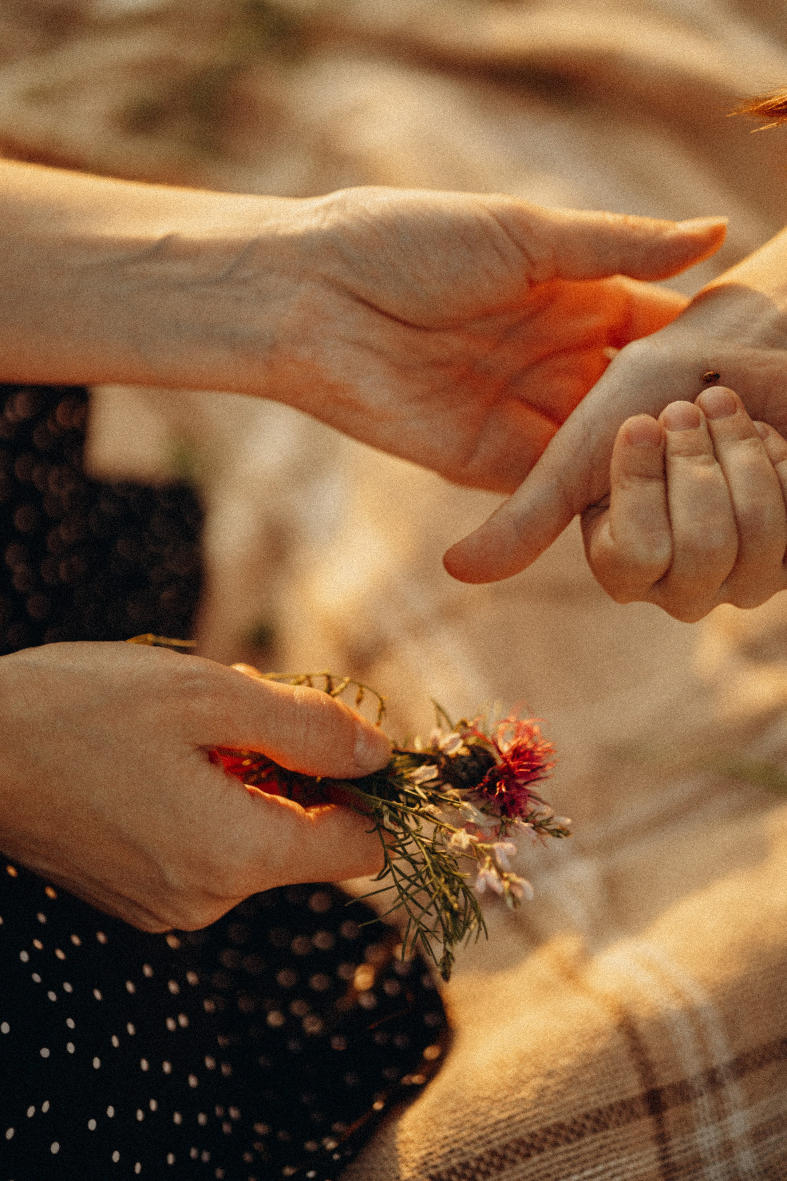 В лучах заката. Lifestyle семейный и детский фотограф в Омске Иванова Екатерина