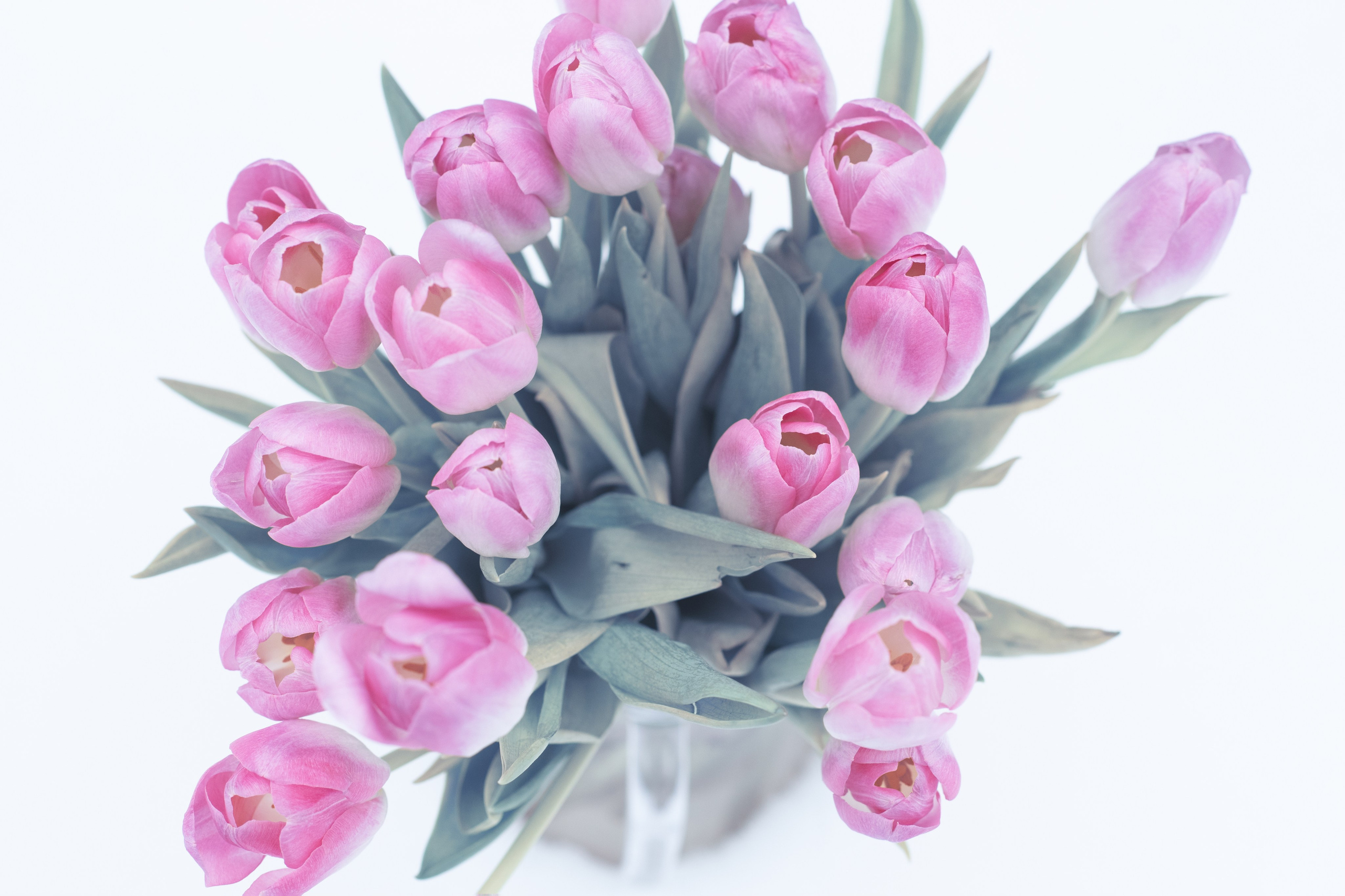 Марина. Анна Новосельцева. Индивидуальные фотосессии в Москве и М.О